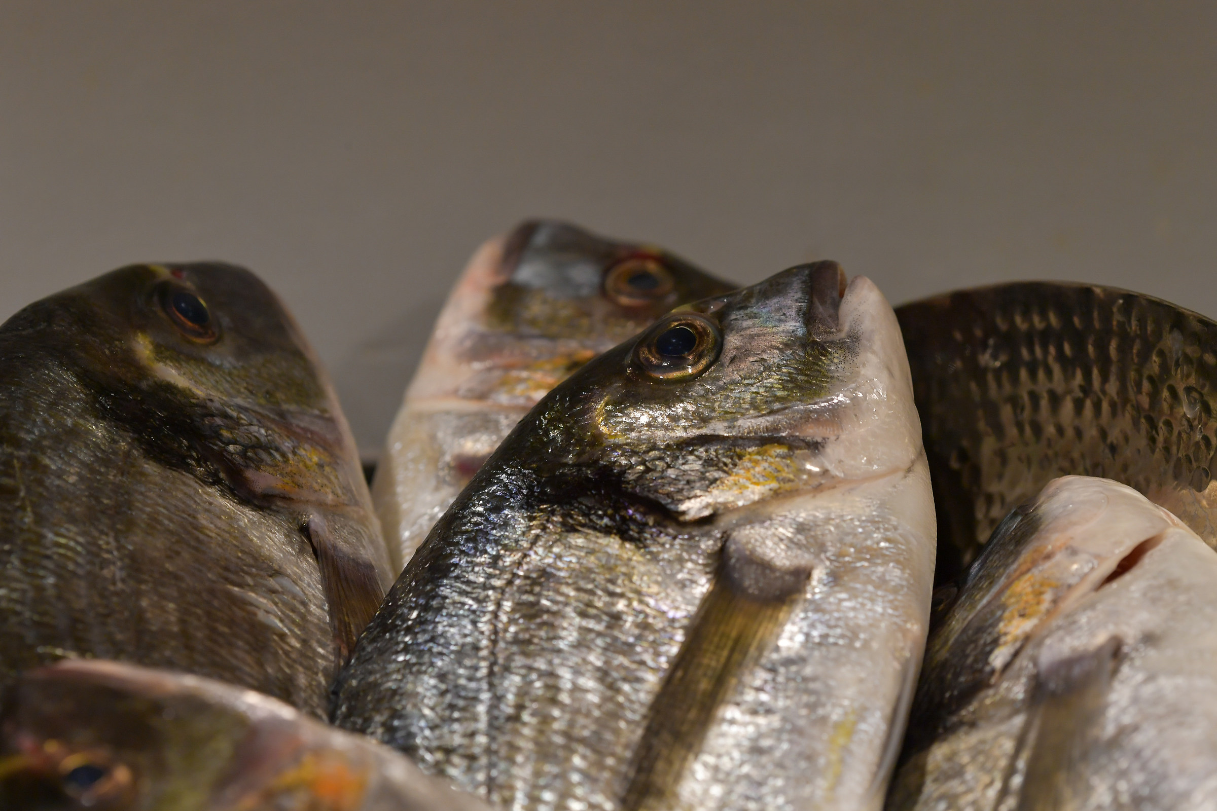 Today at dinner Baked Orate with potatoes and artichokes.