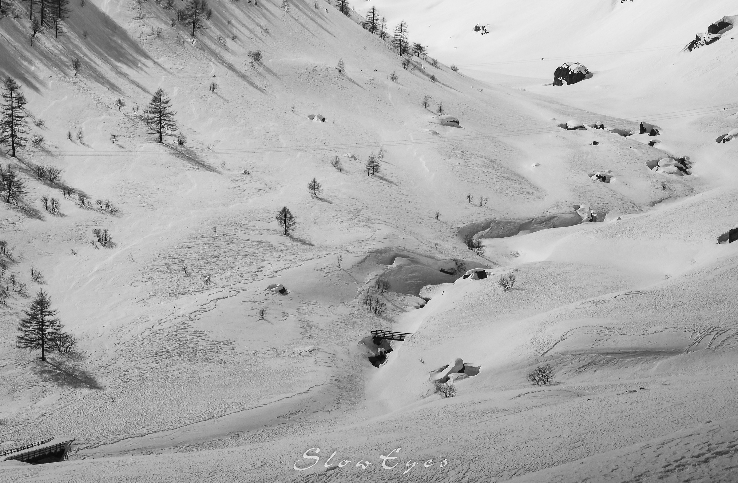 Gran Paradiso Park (Piemontese side)