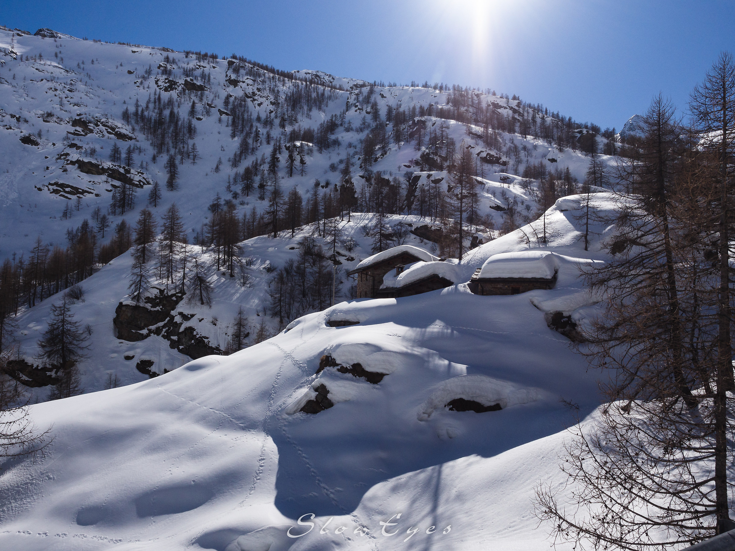 Gran Paradiso (park)