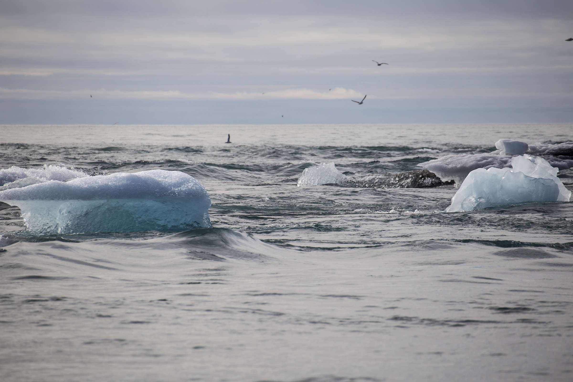 Islanda, Glacier lagoon