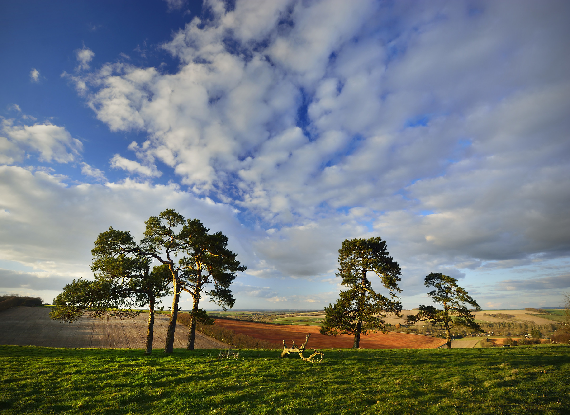 I Will Never Tire of this Landscape!