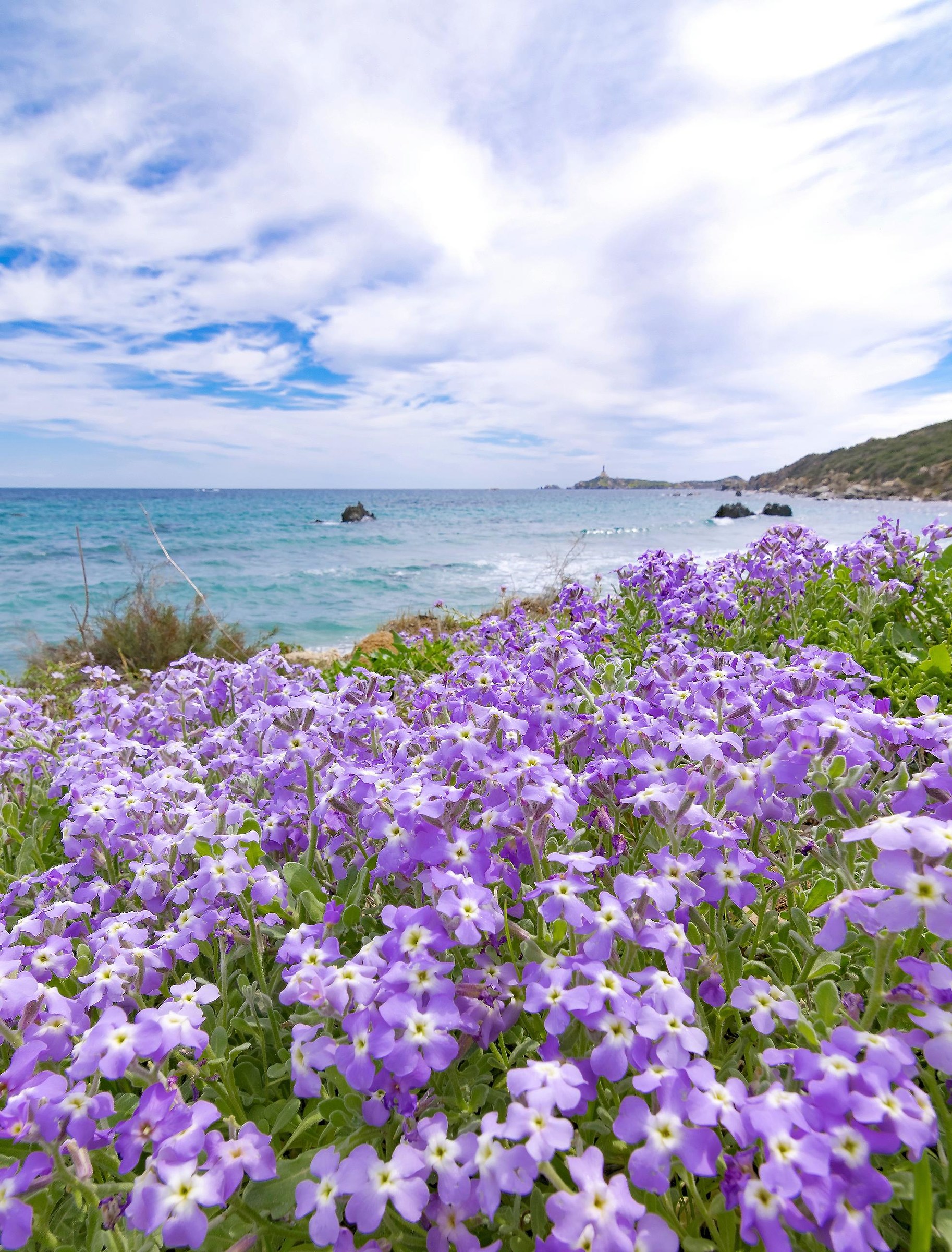 Spring time is coming