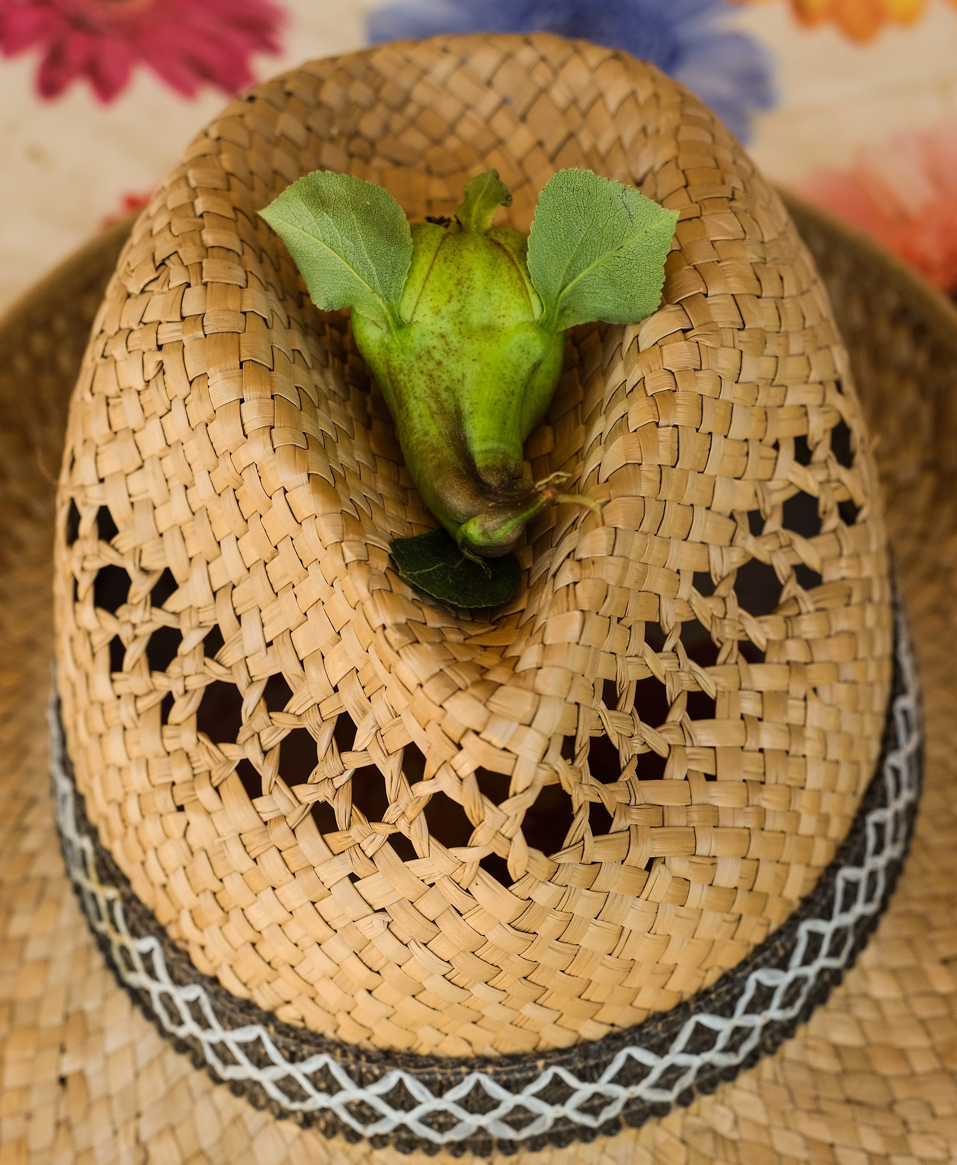 the pear with the ears .... (leaves)