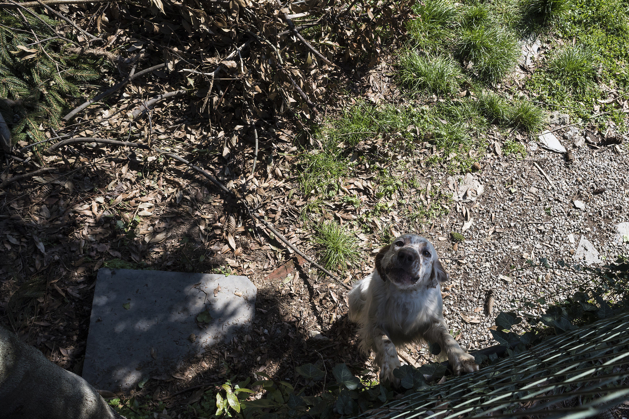 Non li piace farsi fotografare...a Moconesi (ge)
