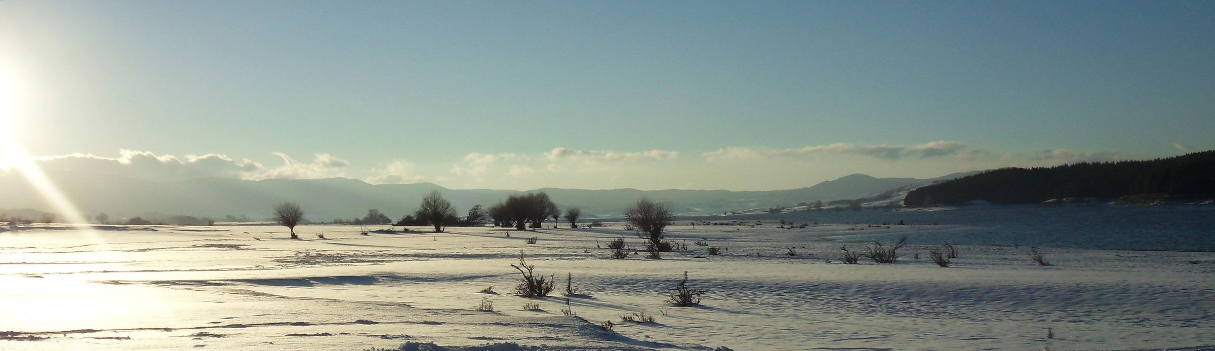 ... and go out like the wolves!