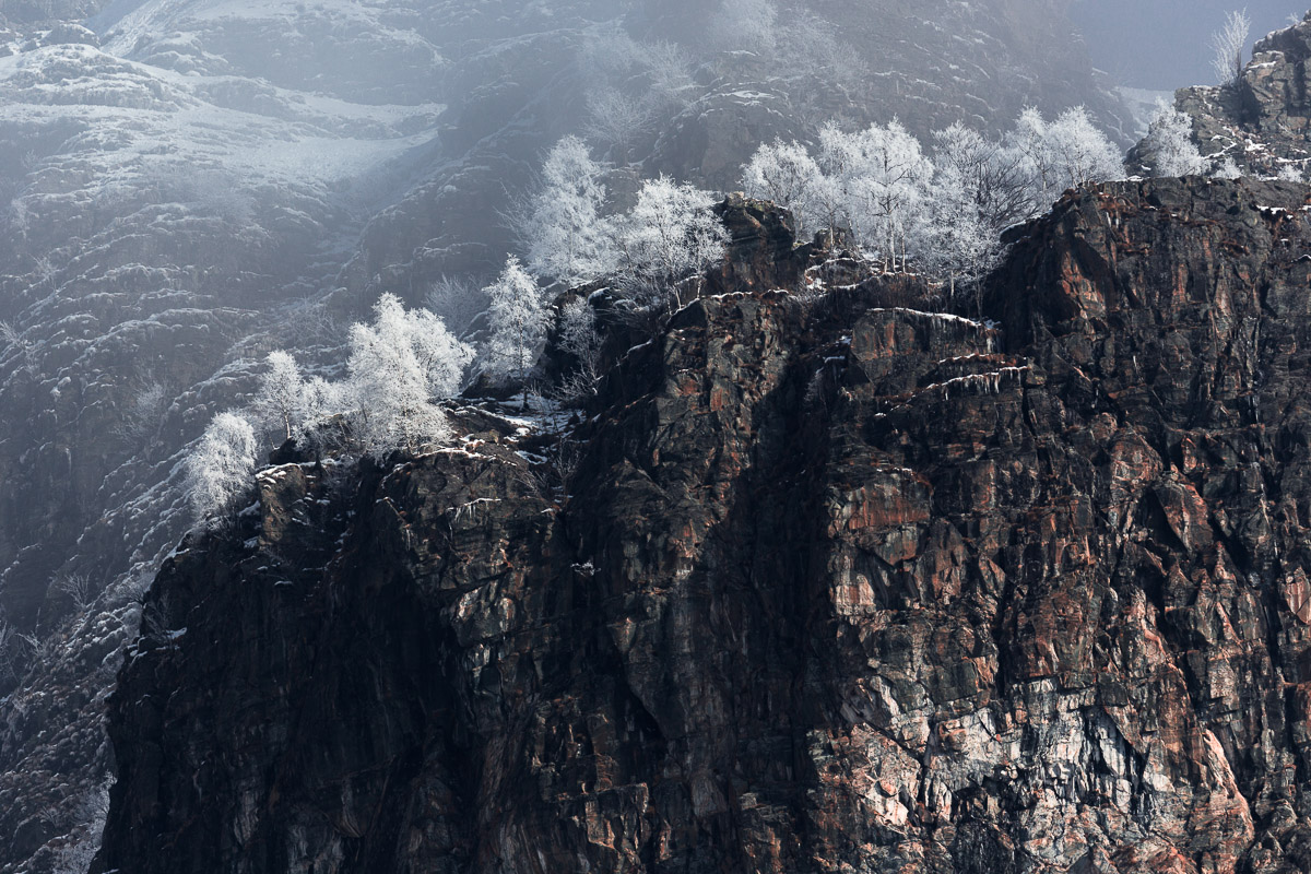 The magic of the galaverna in the upper Val Seriana ...