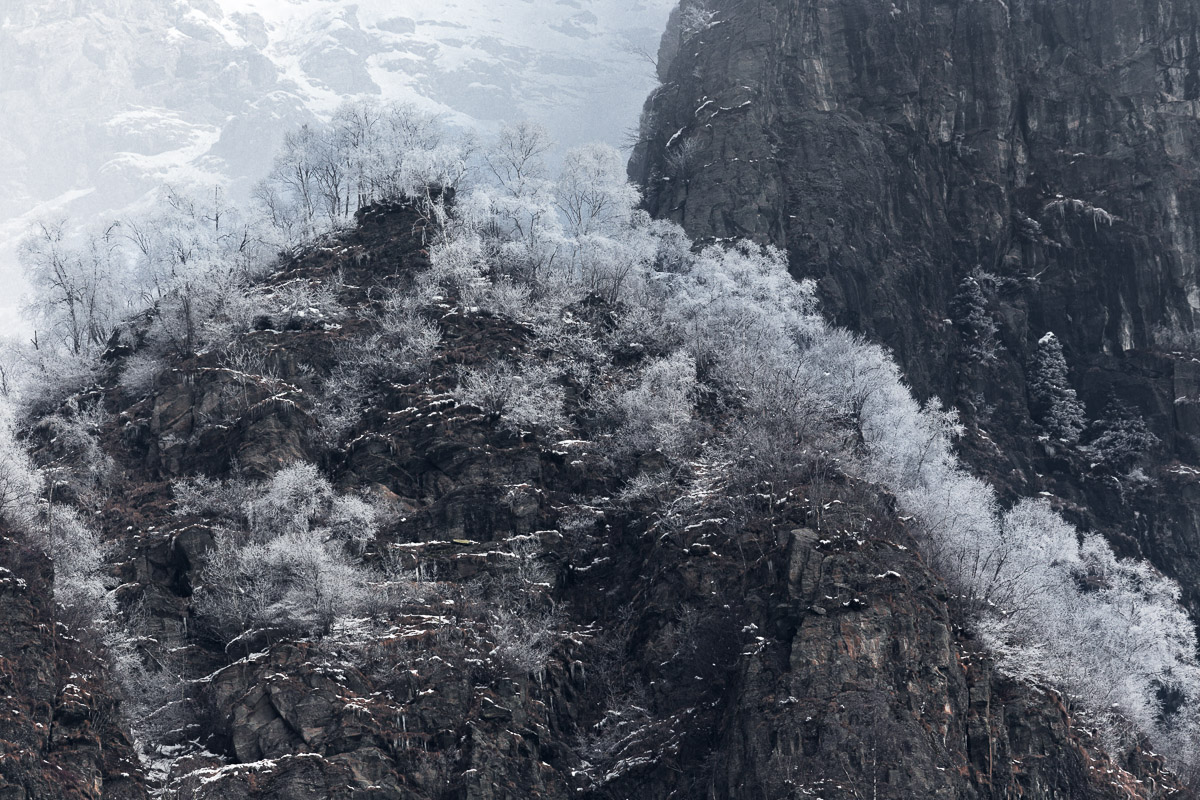 The magic of the galaverna in the upper Val Seriana ...