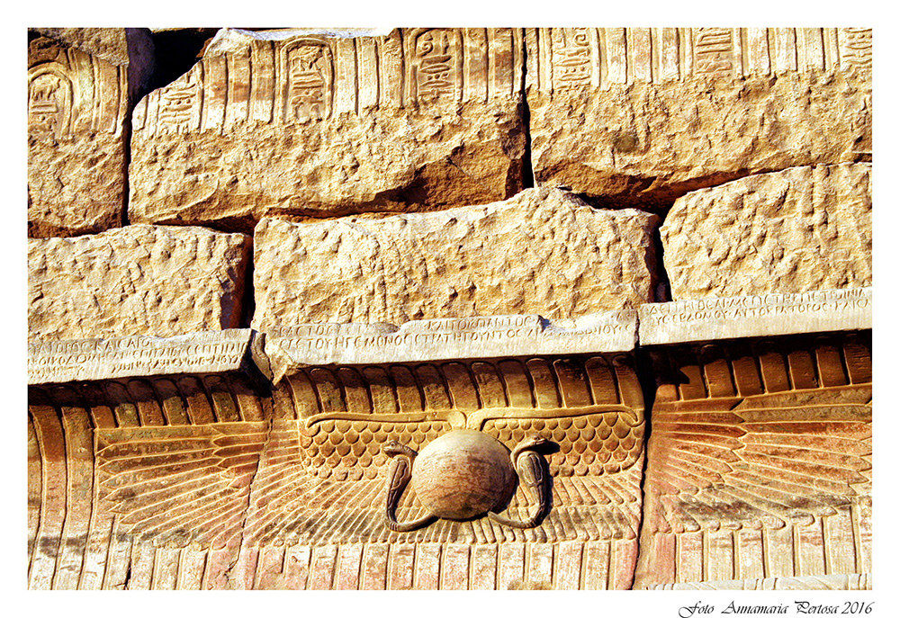 The scarab for the ancient Egyptians