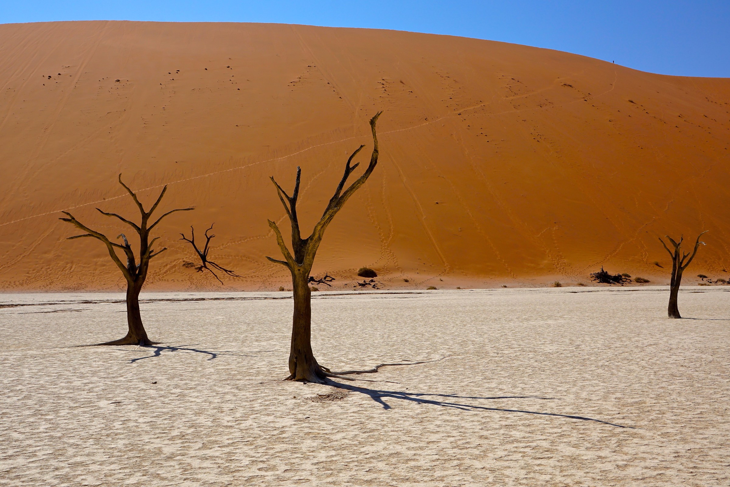 Deadvlei