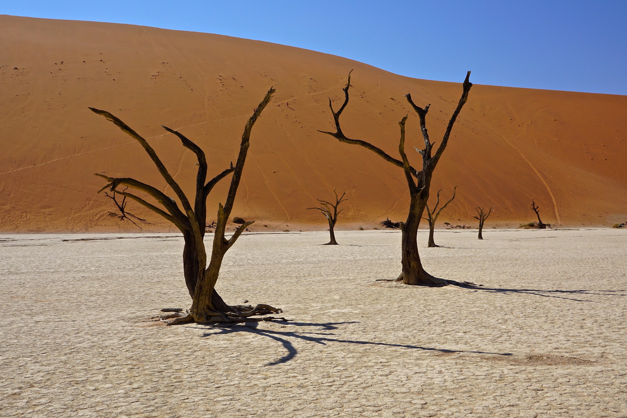 Deadvlei