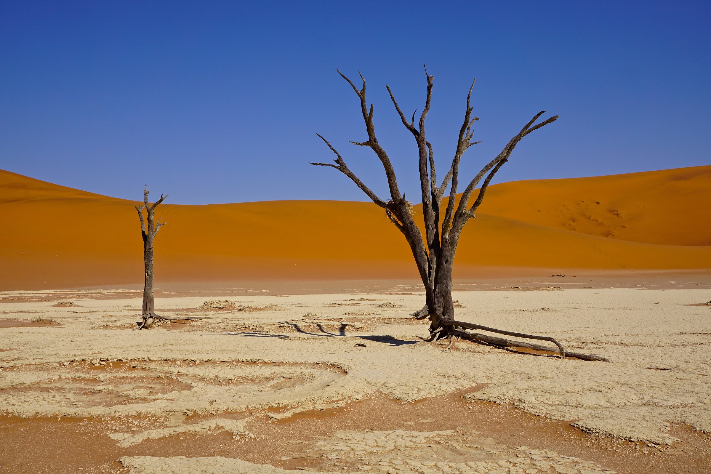 Deadvlei