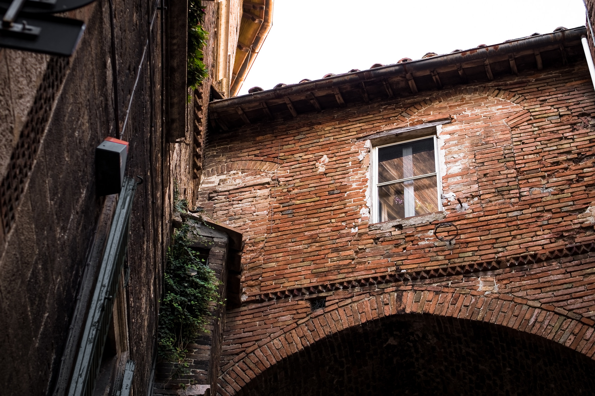 Toh, Una Finestra al Centro