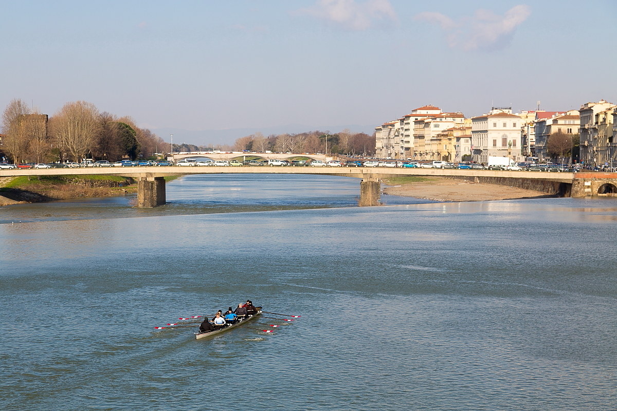 Rowers in the river Arno