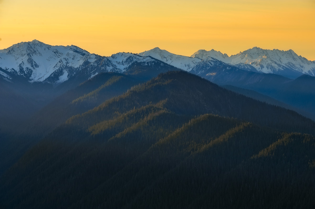 Hurricane Ridge
