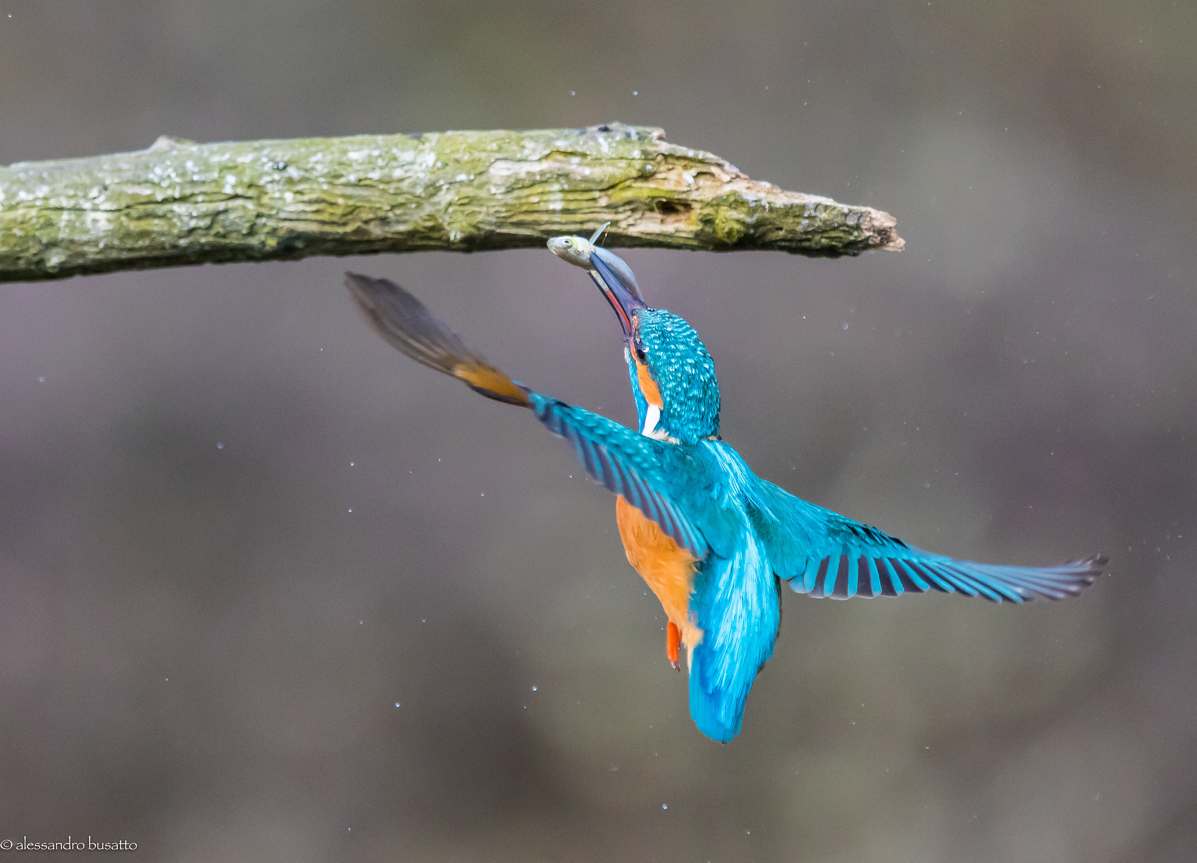 Martino on his return from fishing