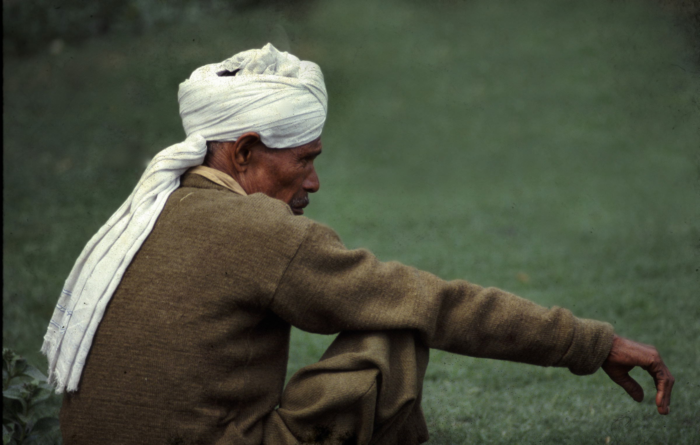 Riflettere nel verde