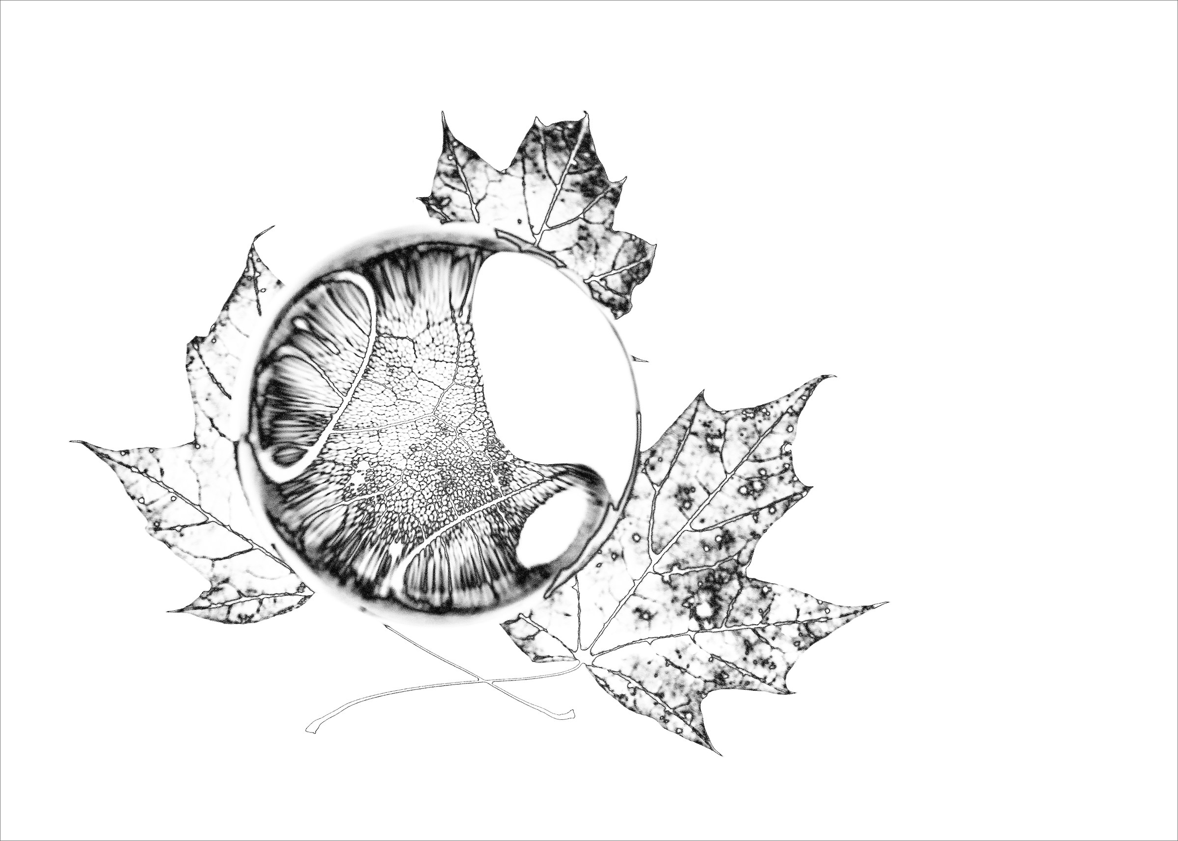 Adventures in Black & White