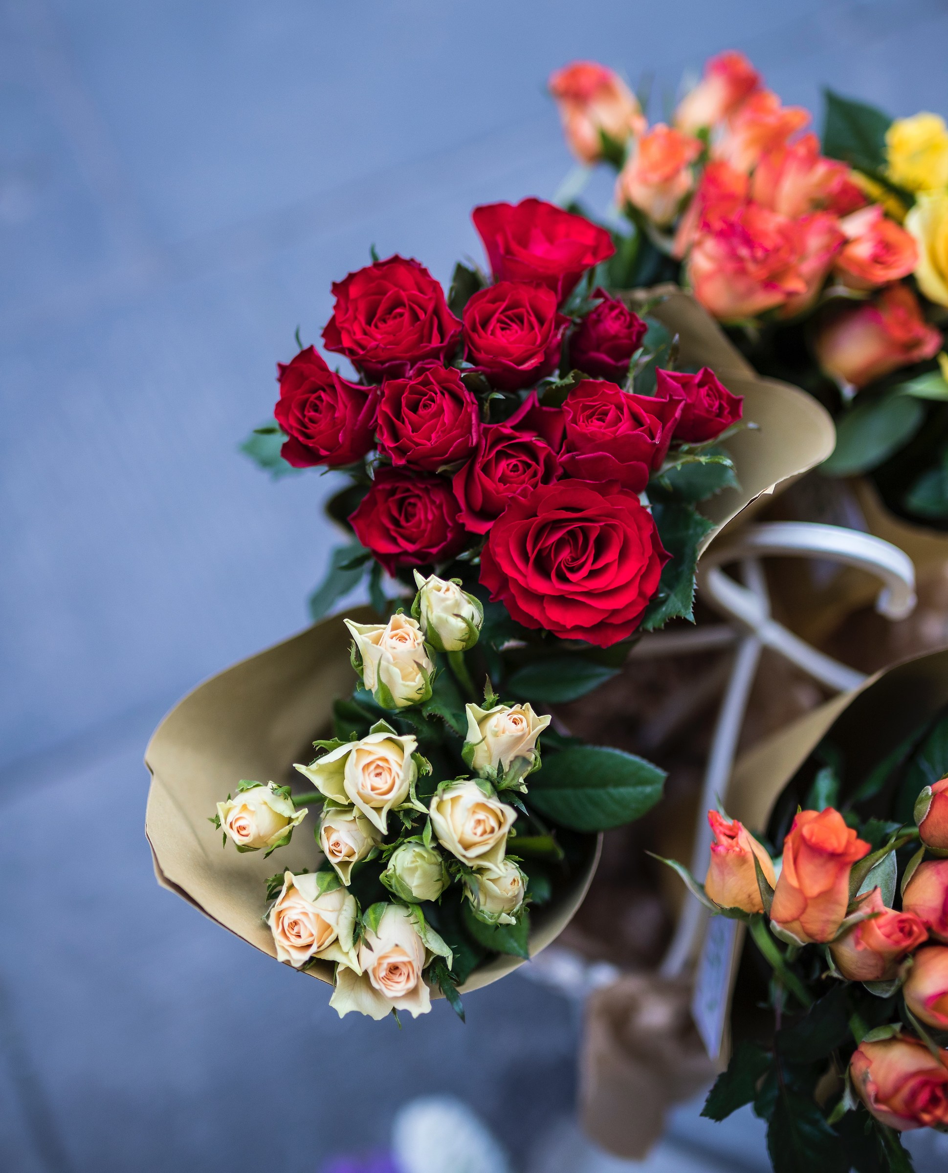 The photographic performance of the 35mm Tamron with the 6dI...