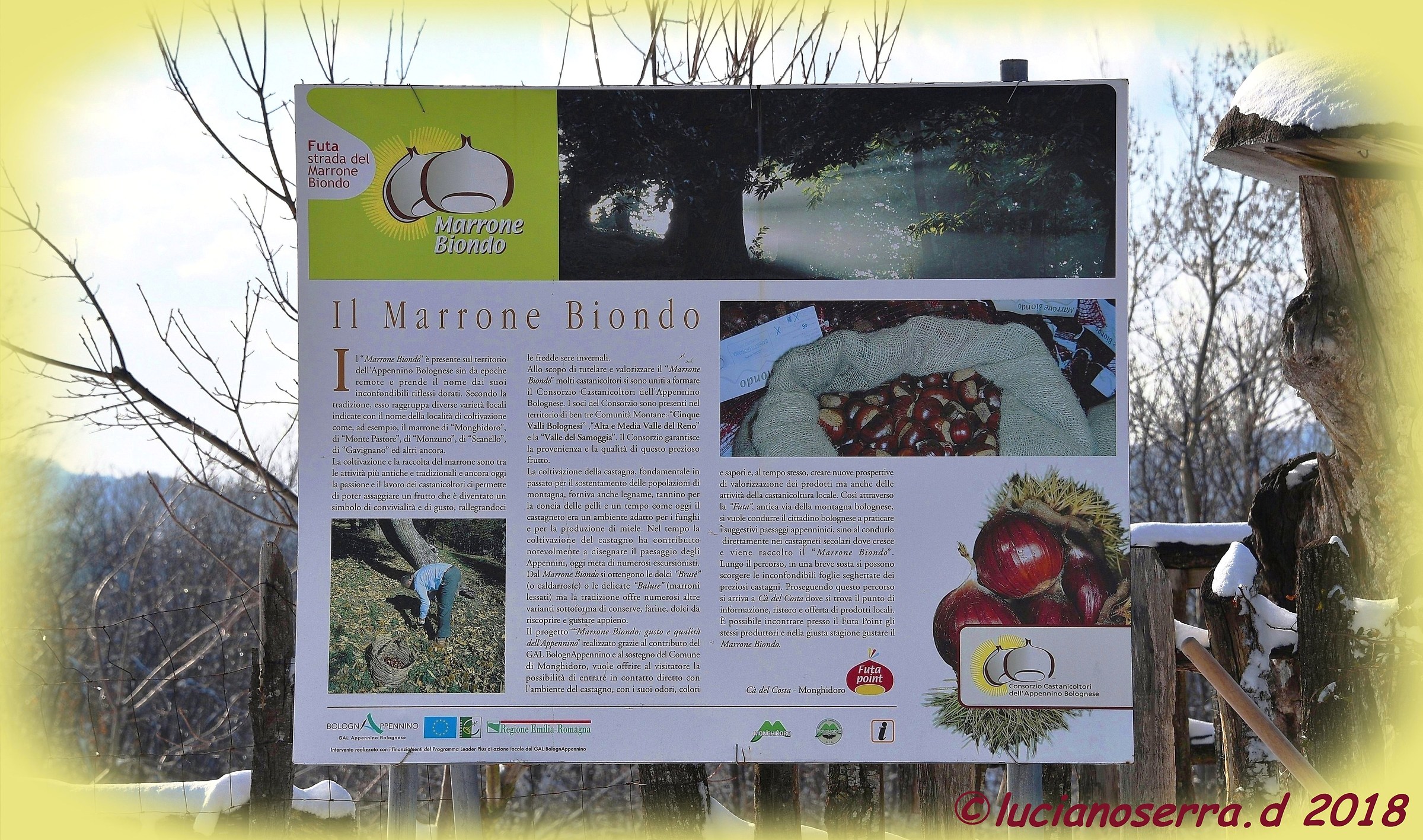 "Il Marrone Biondo"