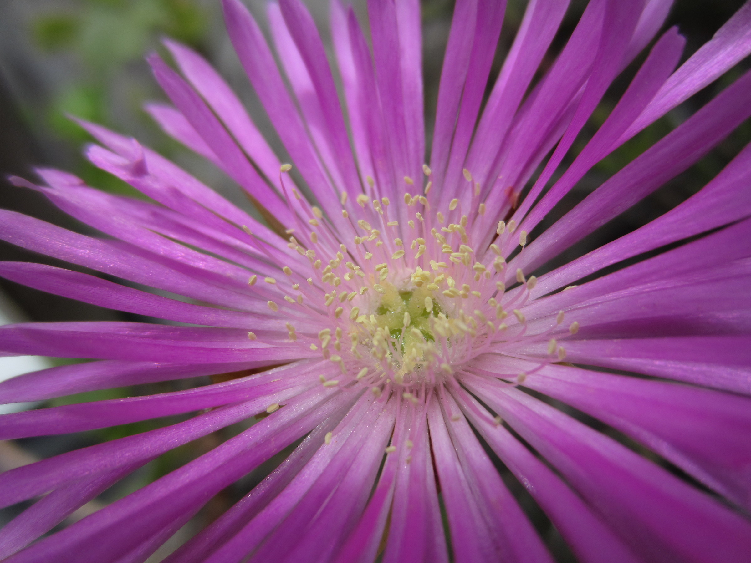 Maybe we are here with spring