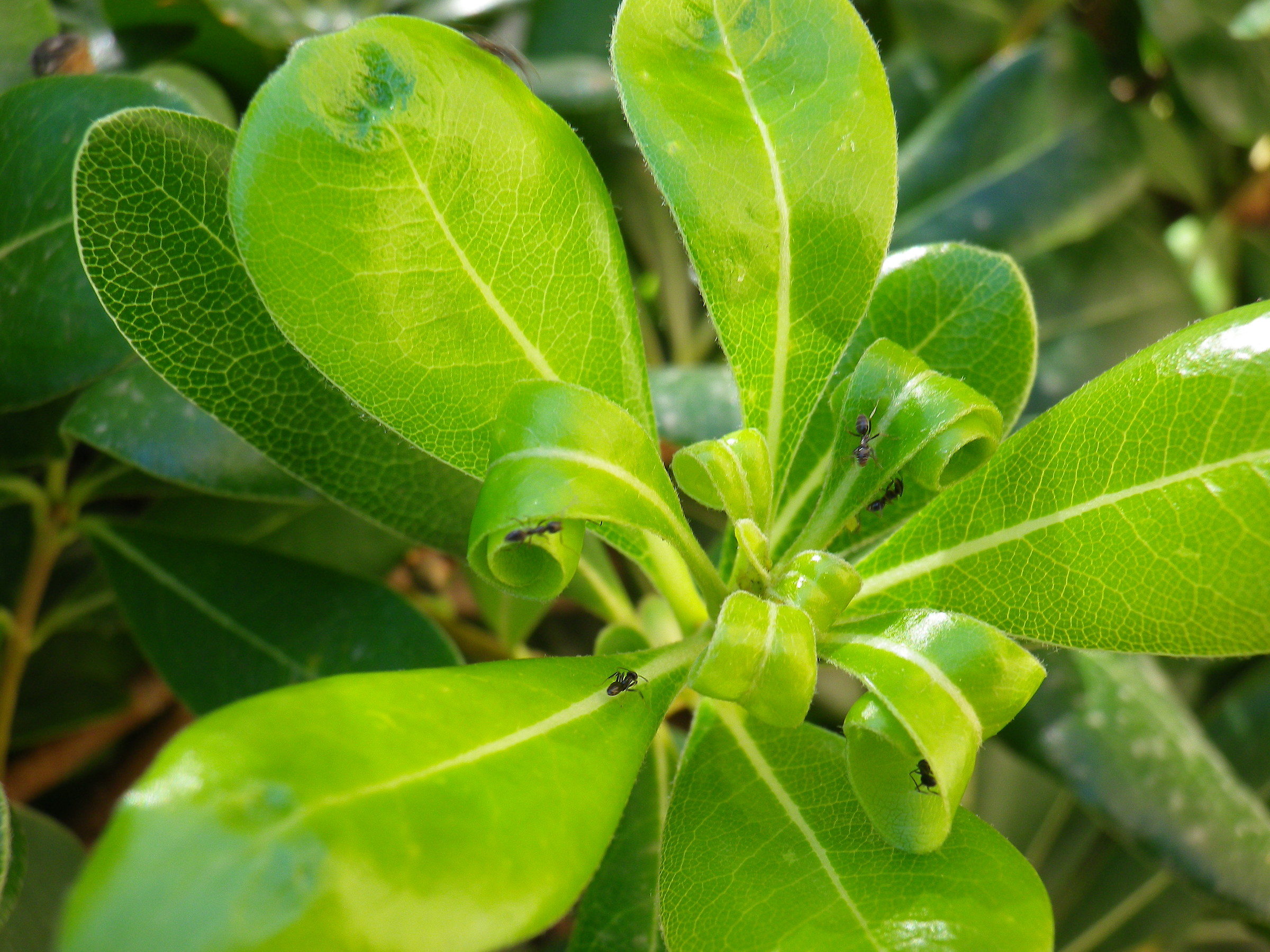 Forse ci siamo con la primavera 3