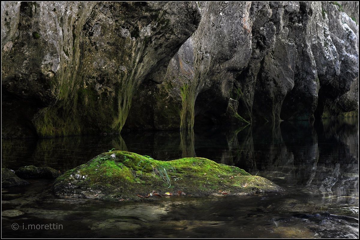 Solo un pò di verde...