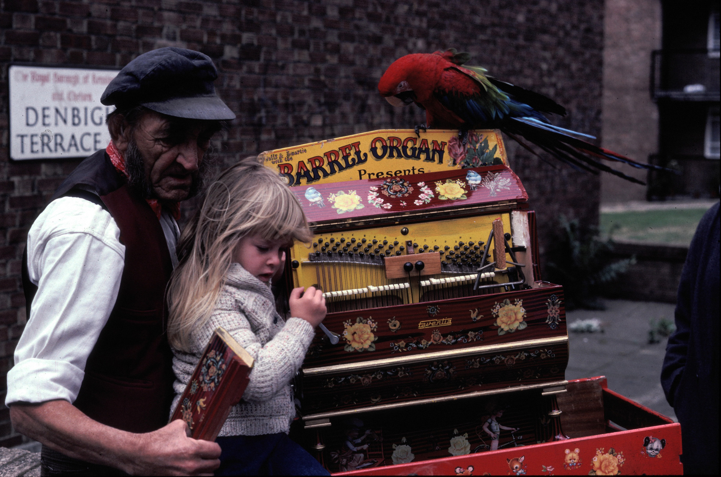 La bambina e il pappagallo