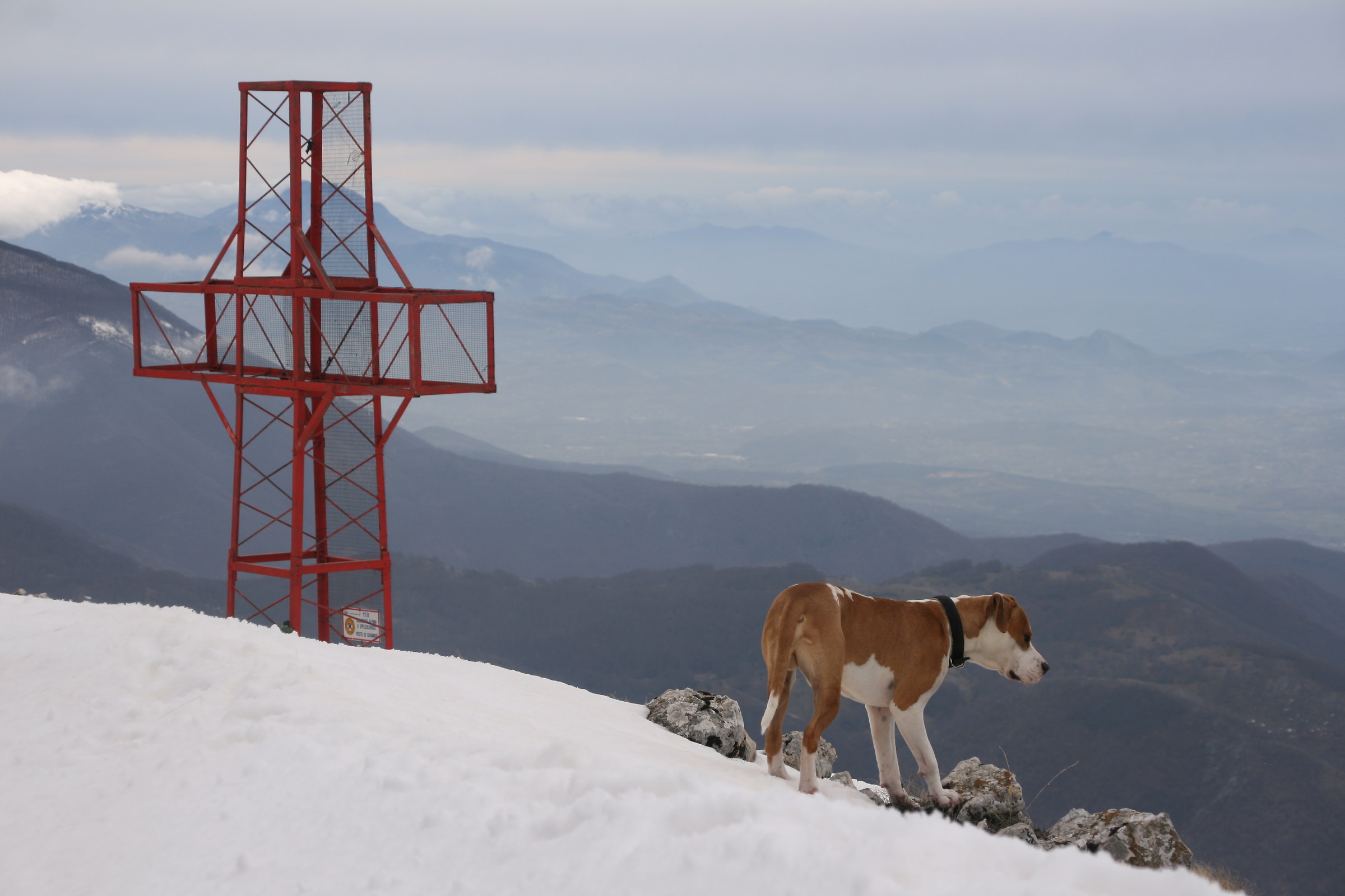 Il mio falkor in montagna
