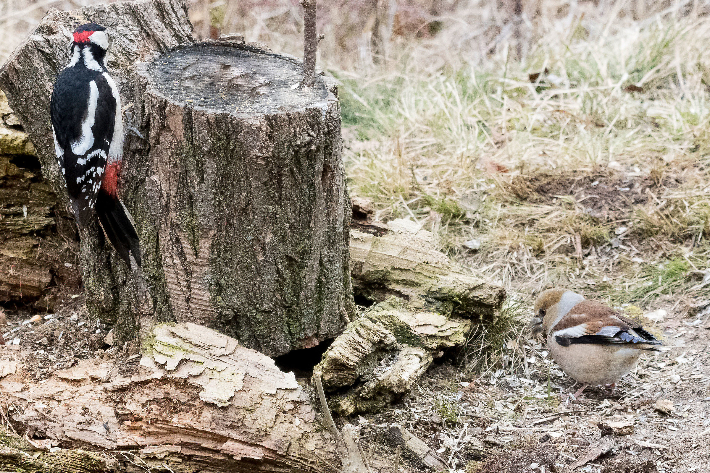 two is meil that one