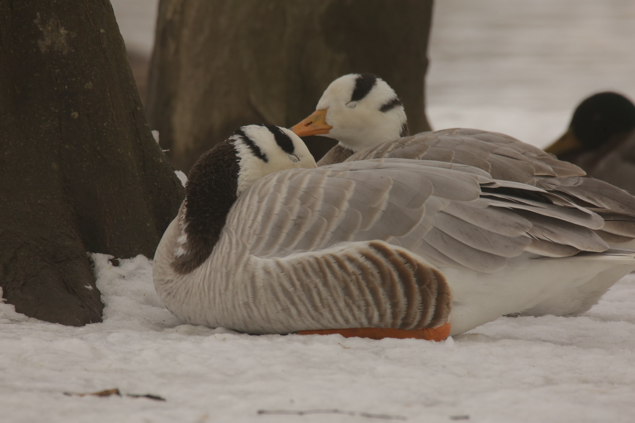 a quick rest before departure