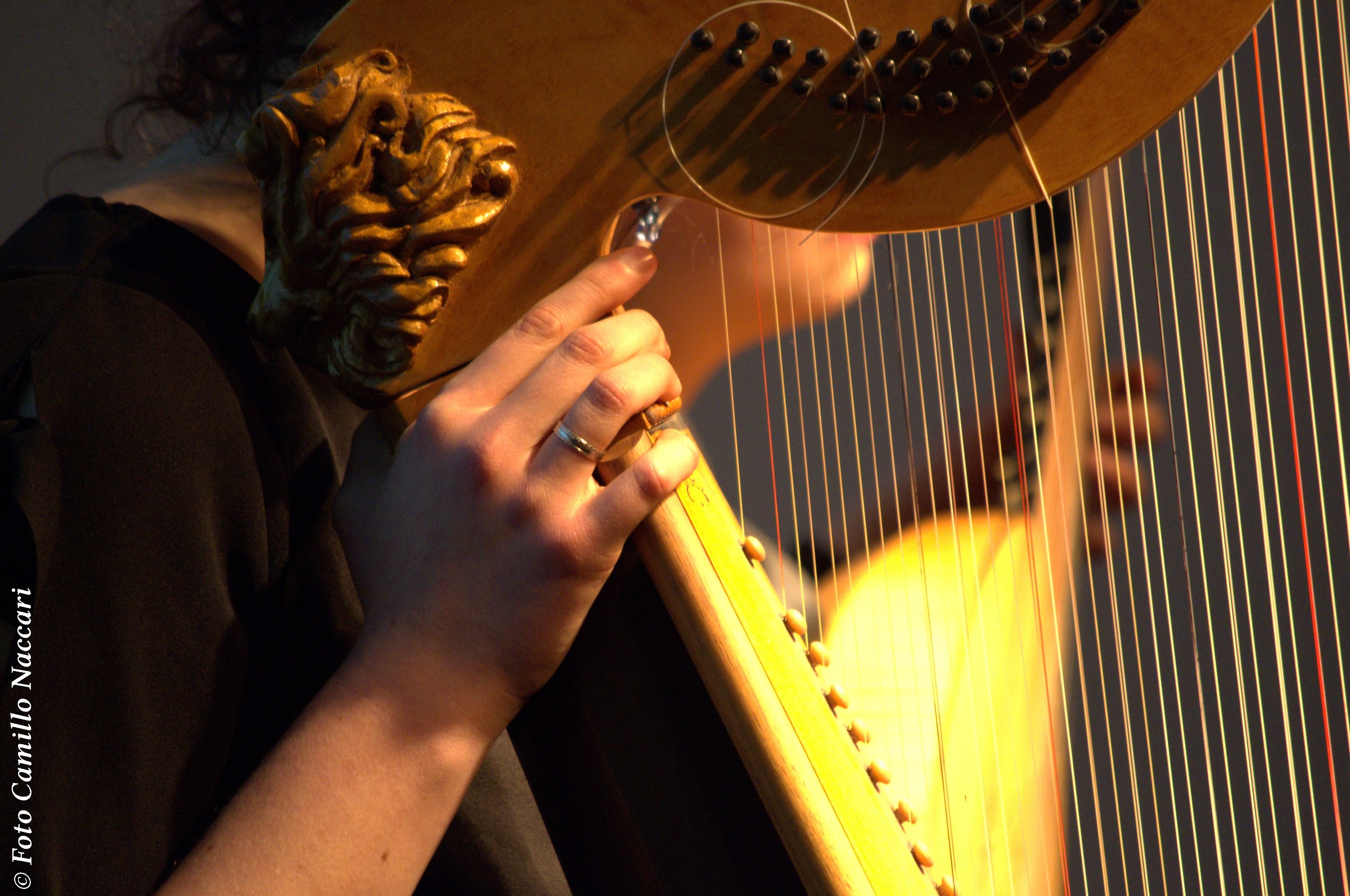 La dolcezza delle tue mani