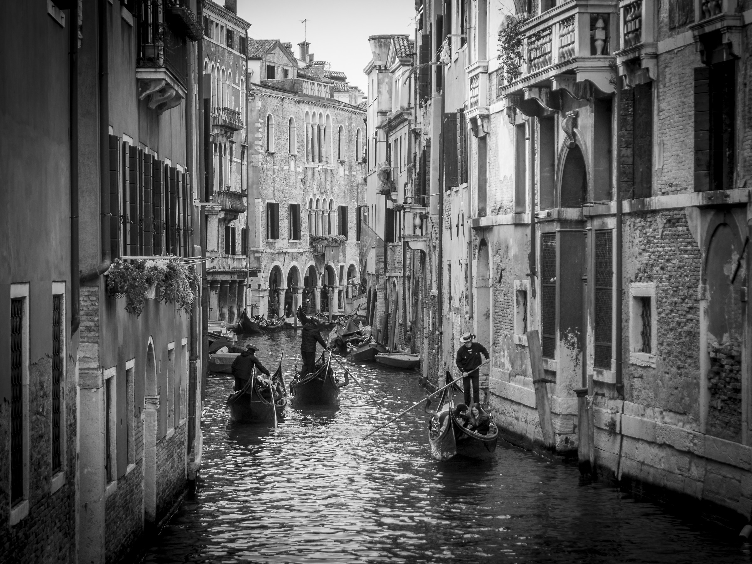 venezia
