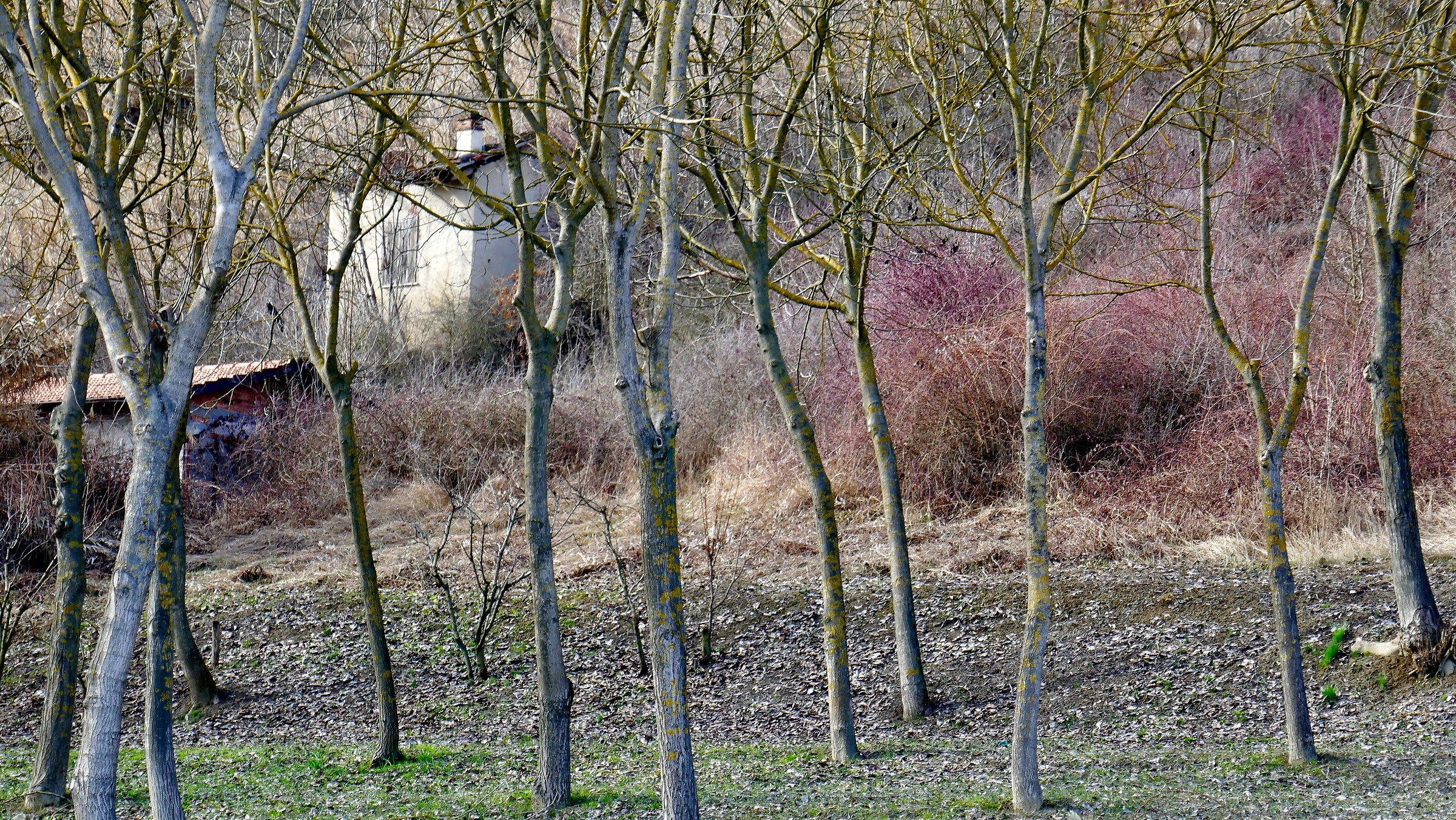 Ciabòt a P. Biglini