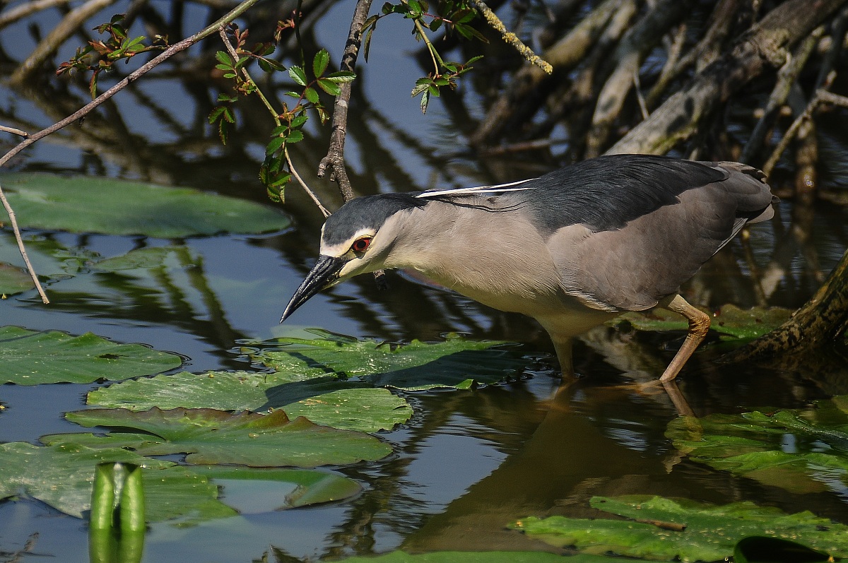 A second before the .........