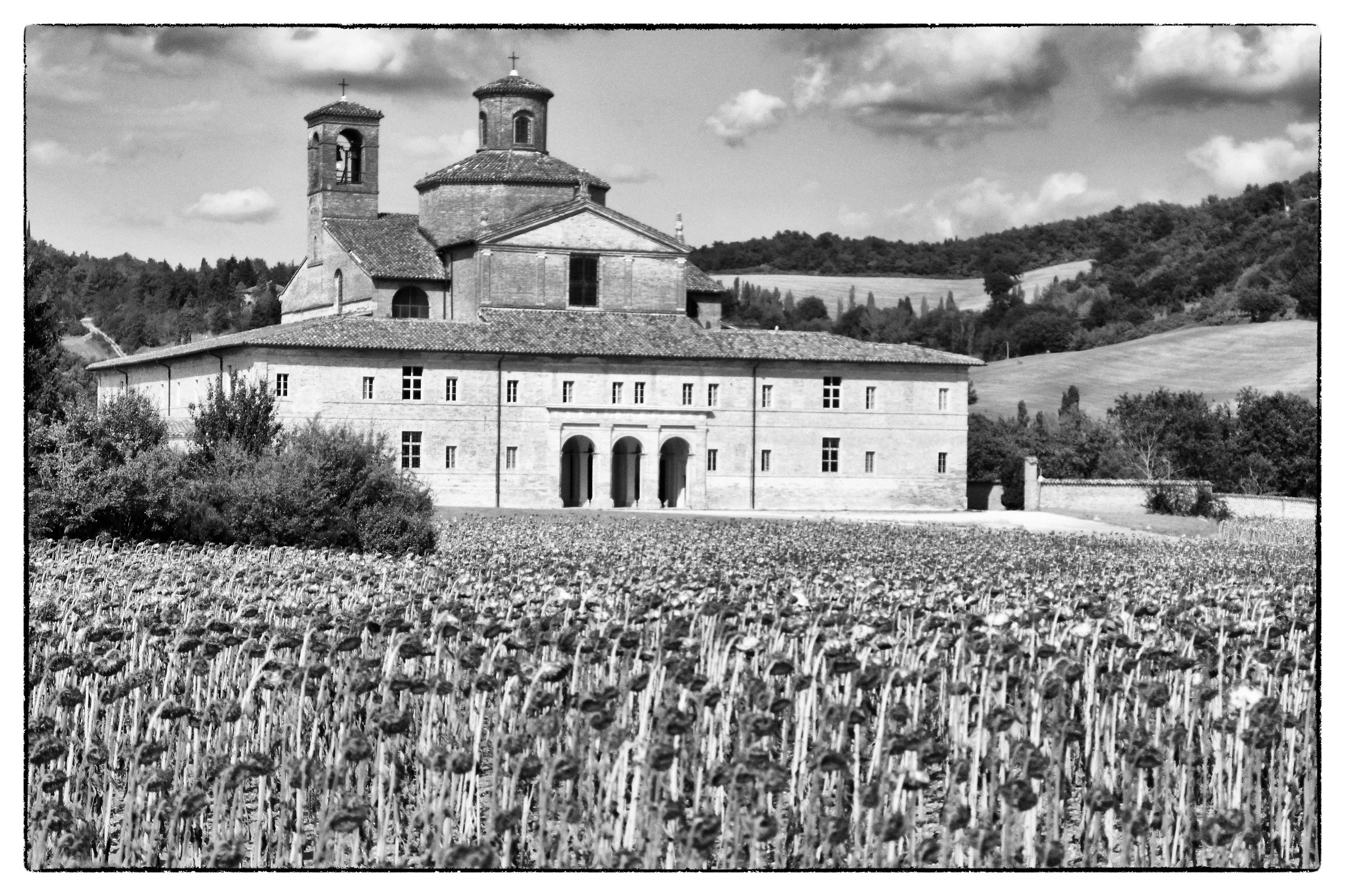 Campagna itorno a Carpegna