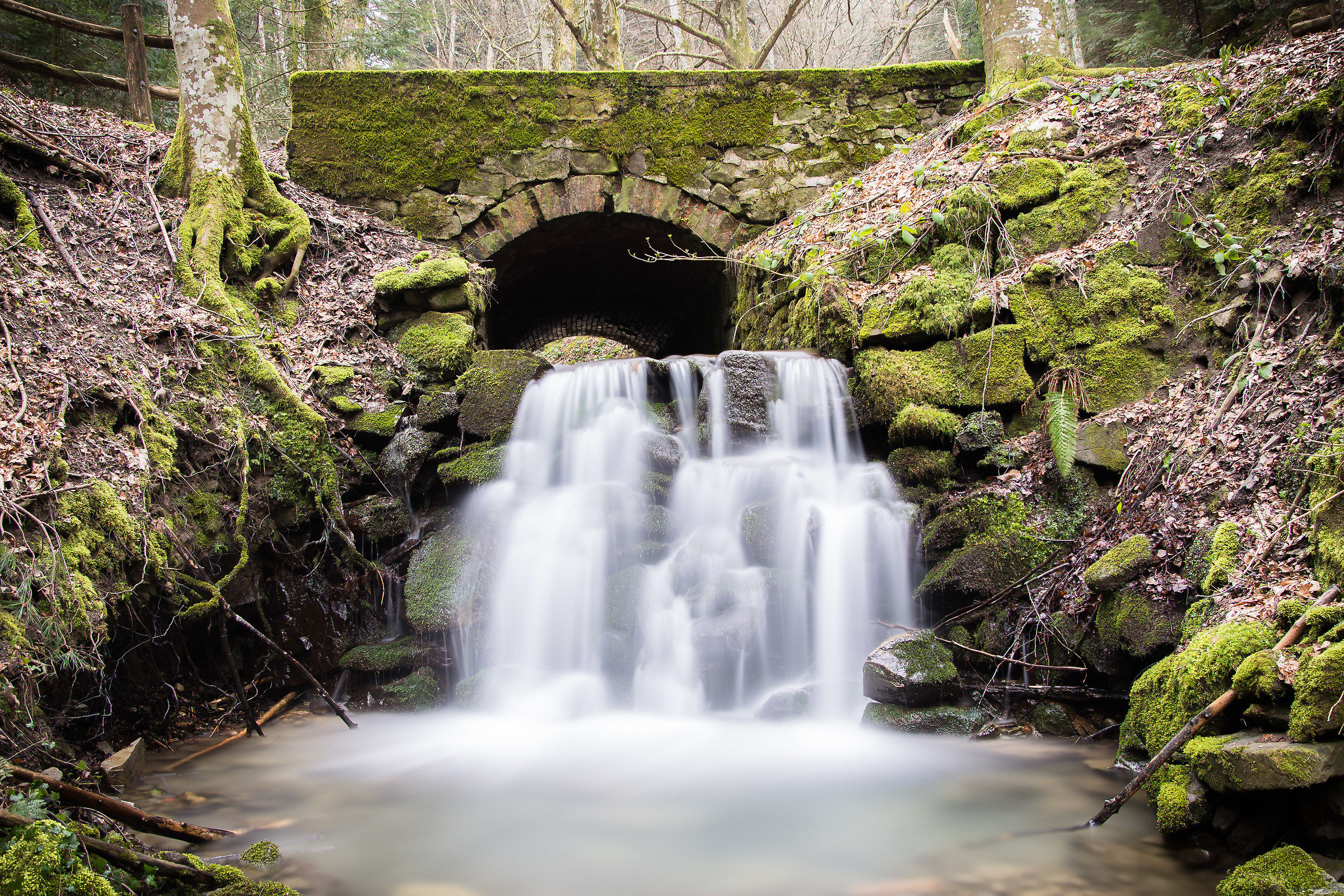 chiare, fresche e dolci acque