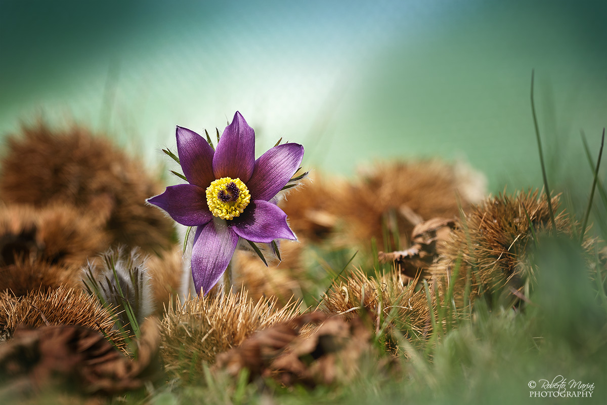 Tra autunno e primavera