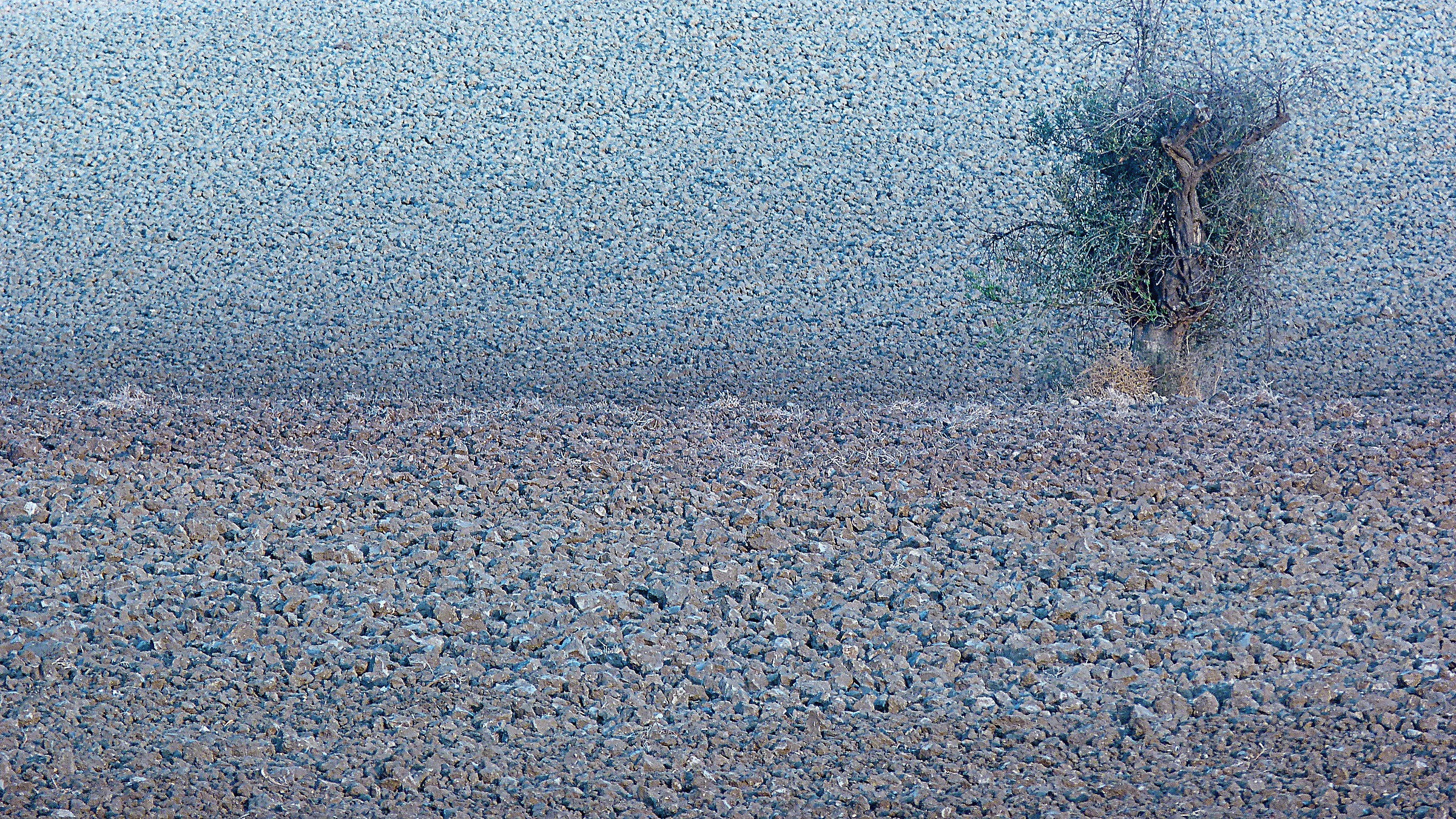 The colors of the plowing