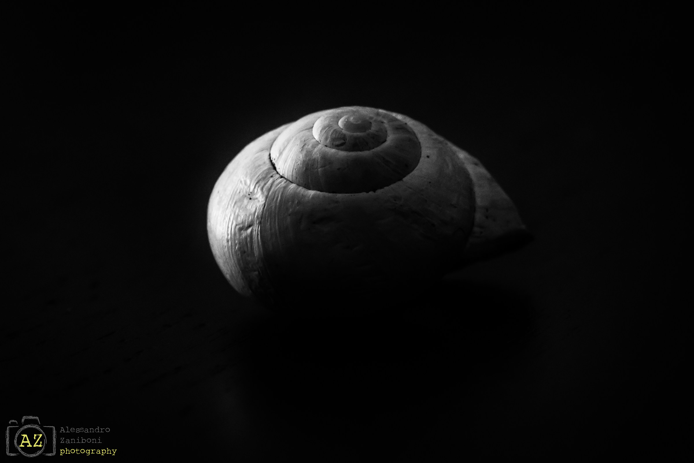 Toc toc... C'è nessuno?