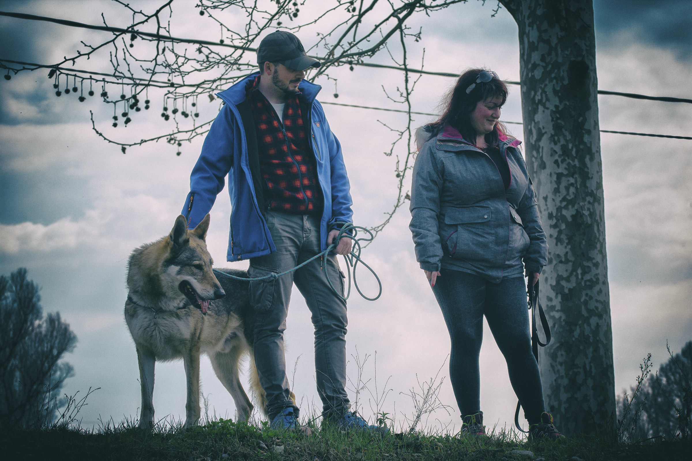 we all look on the same side