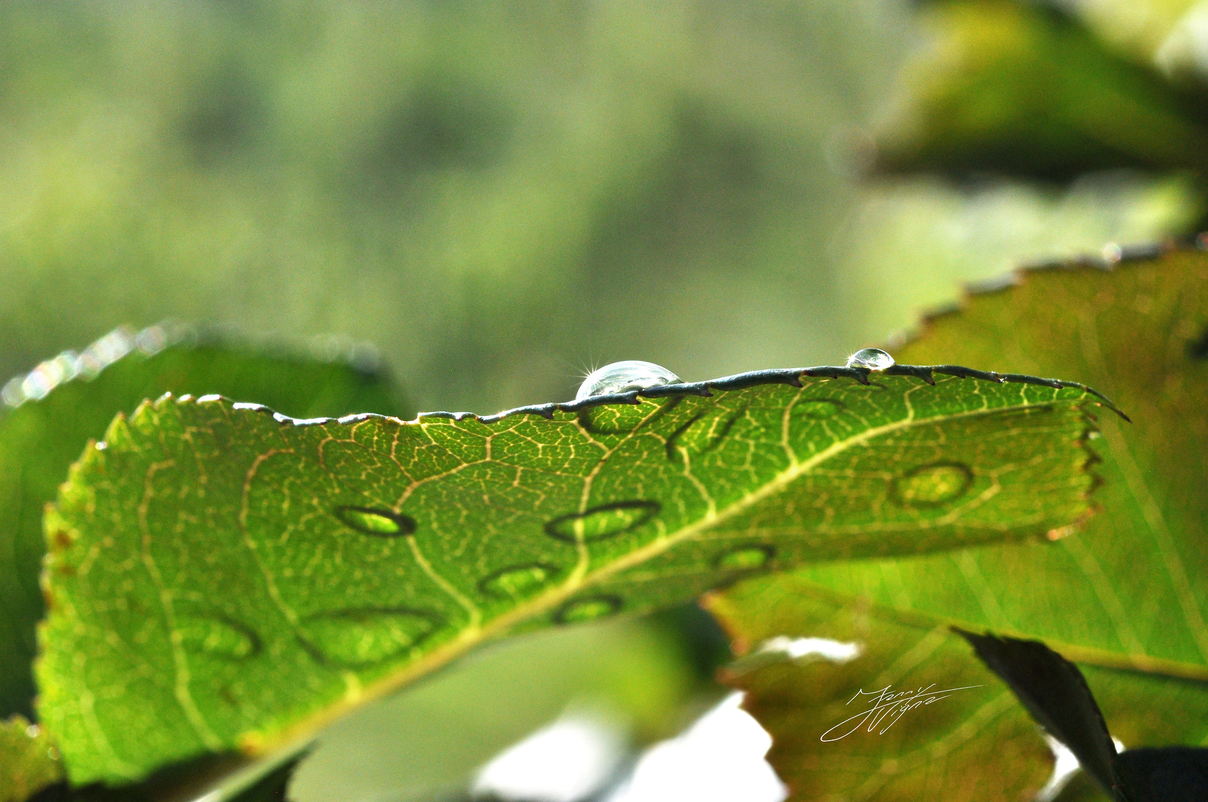 Different point of view