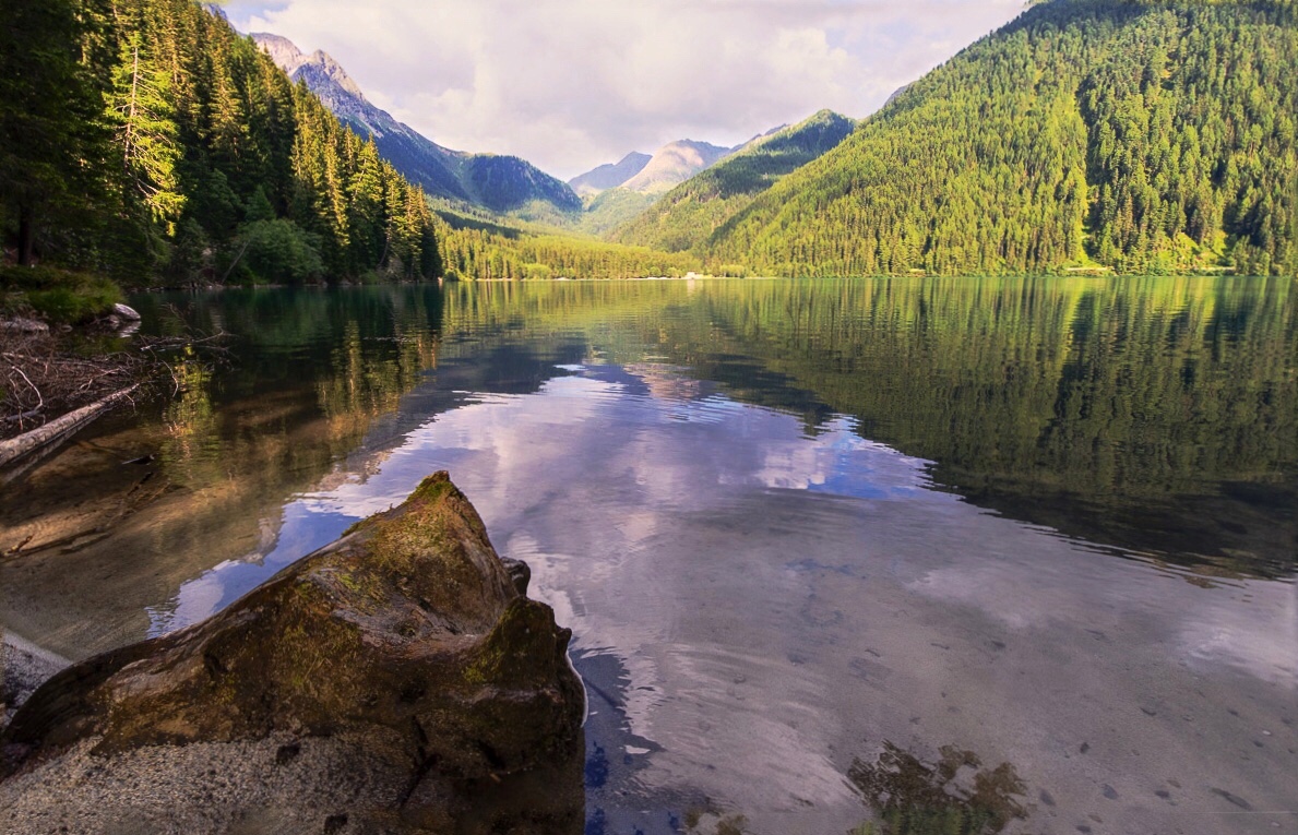 Un oceano di silenzio