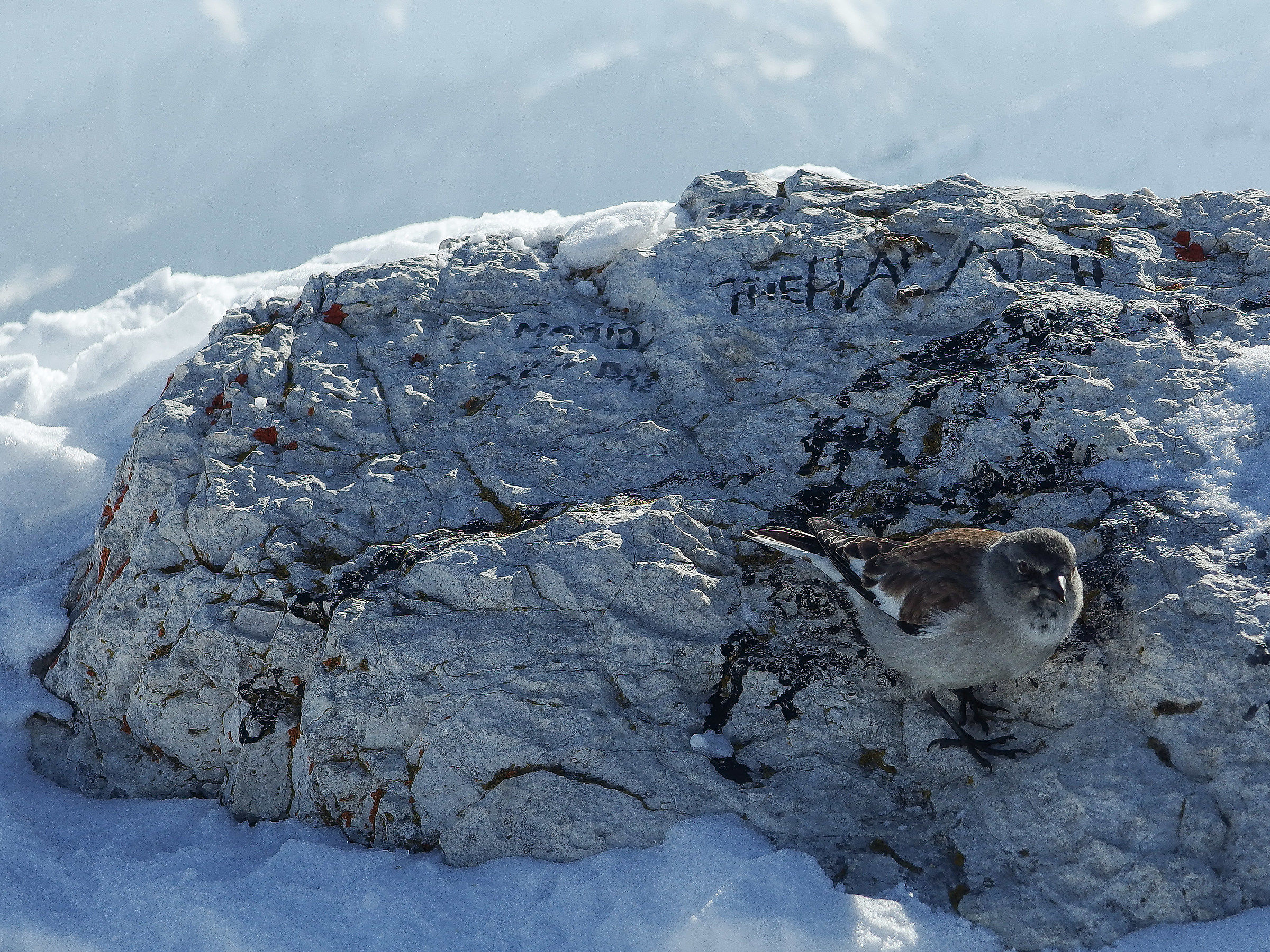 Sorry il panino é finito..