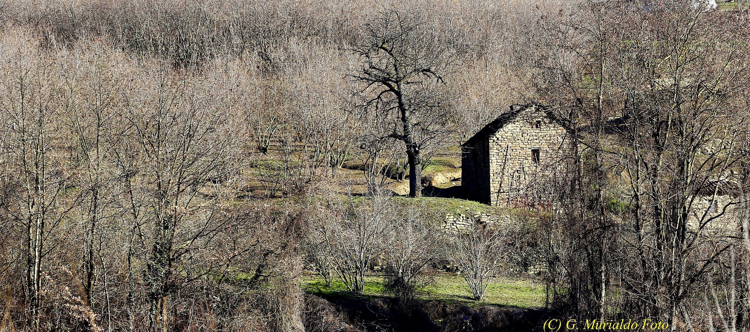 Ciabòt delle Rutte (Bosia)