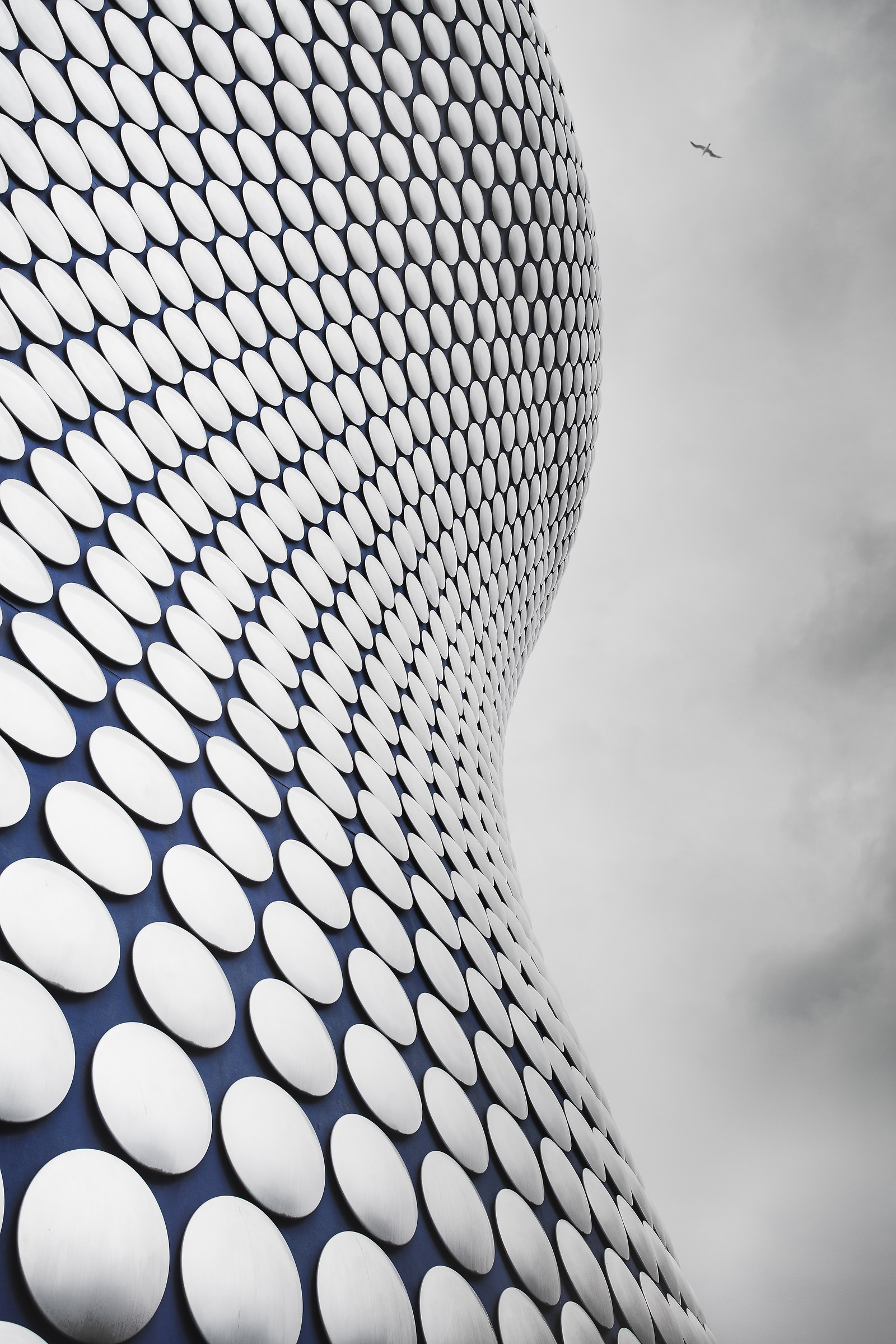 Volando sul Selfridges