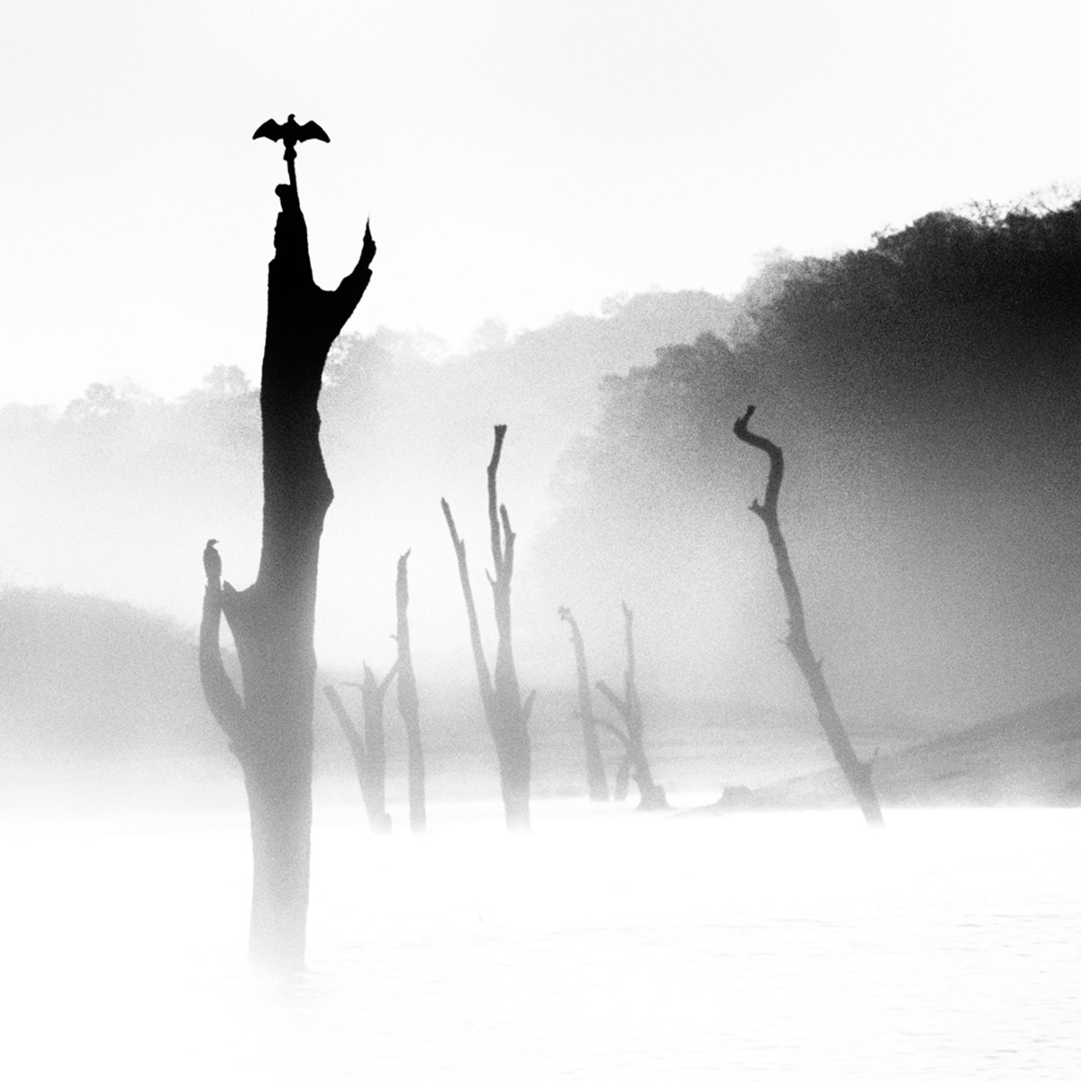 Where The Eagles Fly - Kerala '80