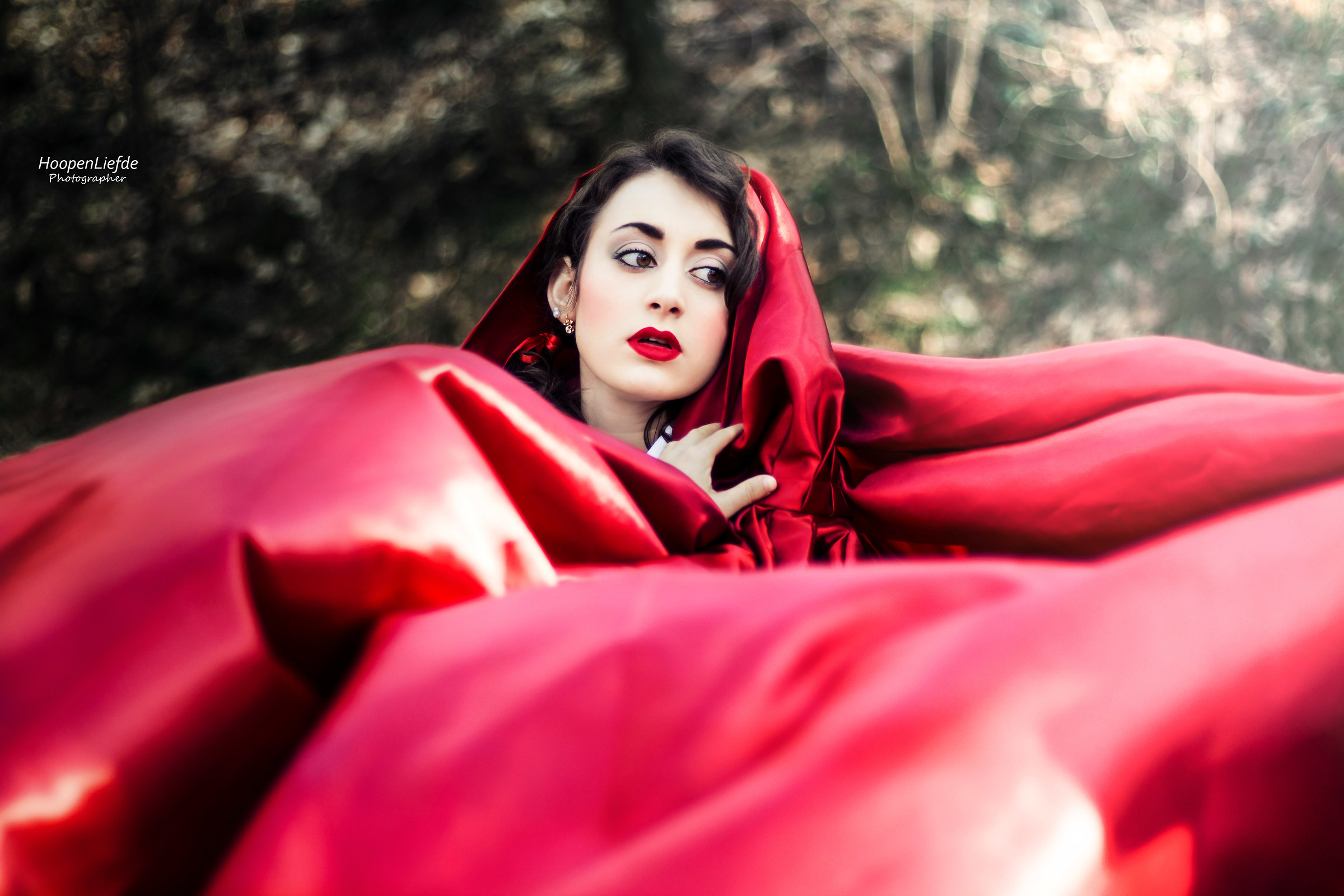 Little Red Riding Hood