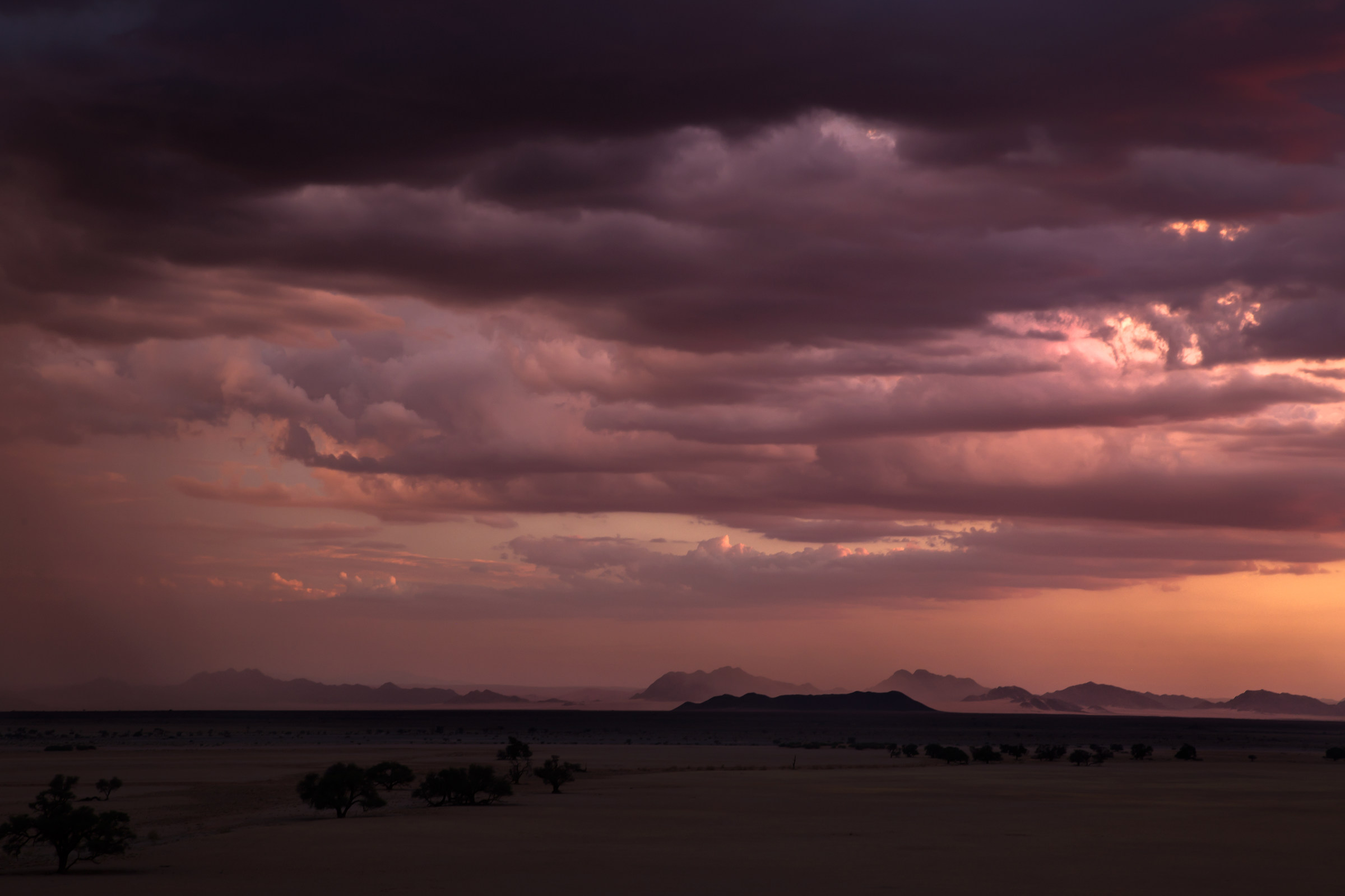 Namib desert, 2017.