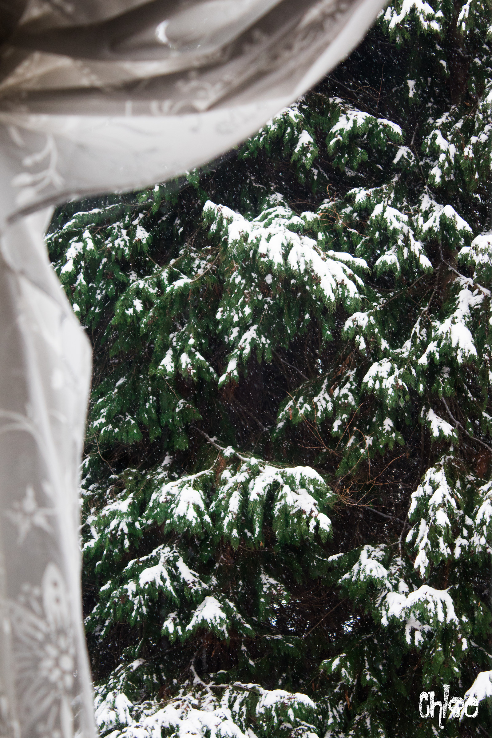 Snow through the window