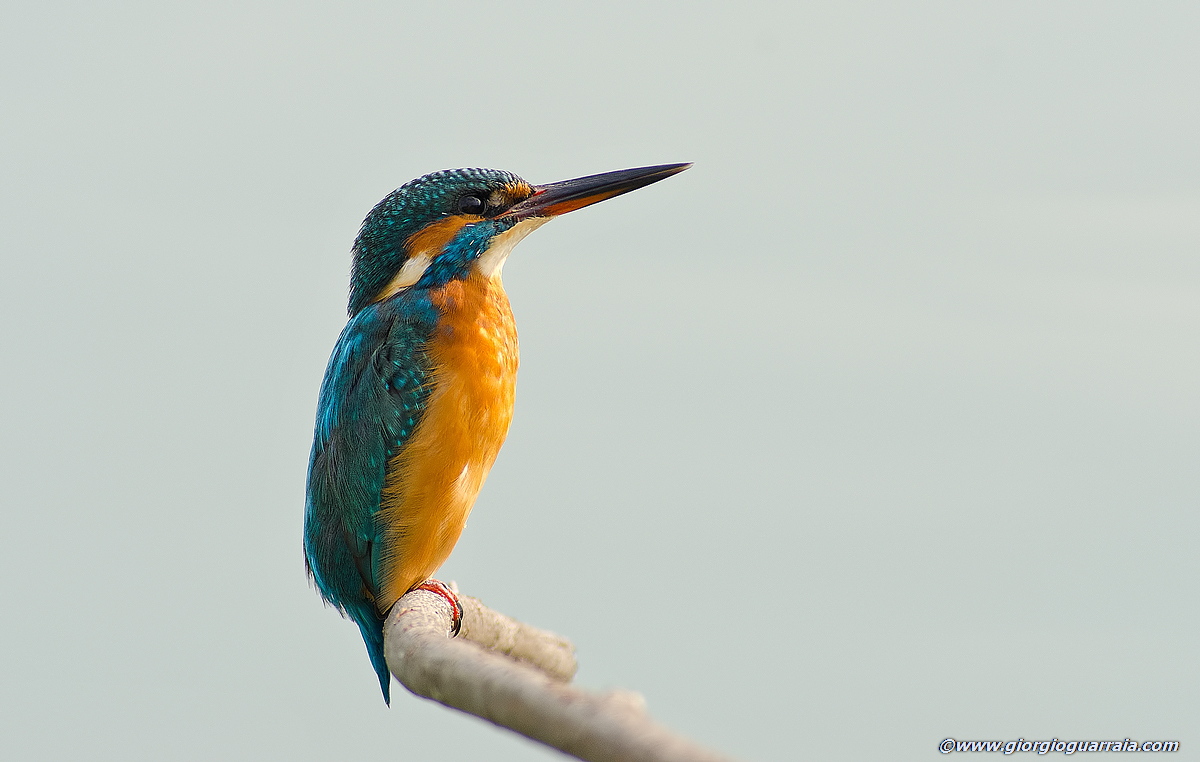 Uno sguardo verso il cielo...